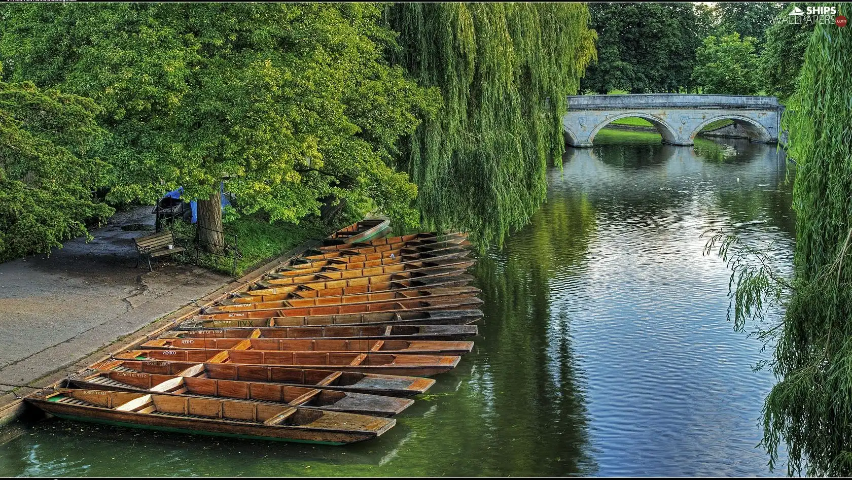 Park, River, bridge, boats