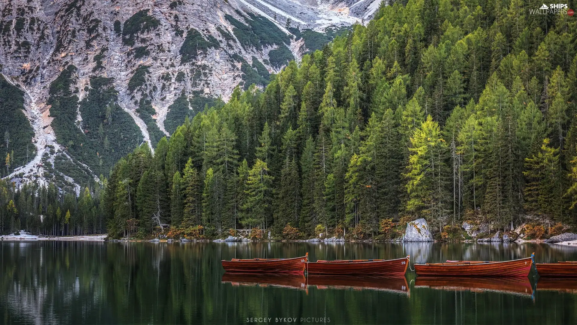 trees, South Tyrol, Pragser Wildsee Lake, Dolomites Mountains, Italy, viewes, boats