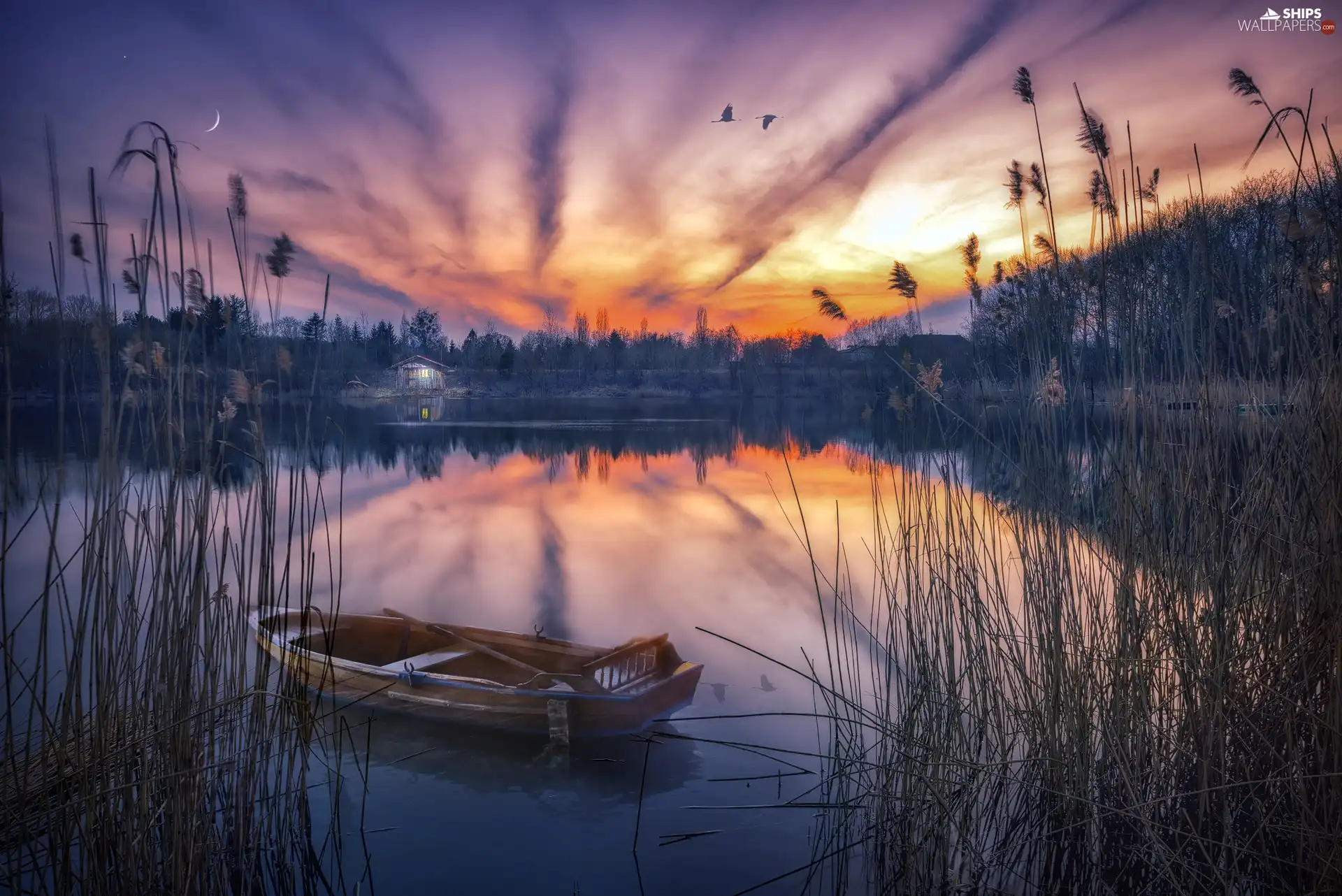 Boat, lake, birds, cane, Great Sunsets, Home, flight
