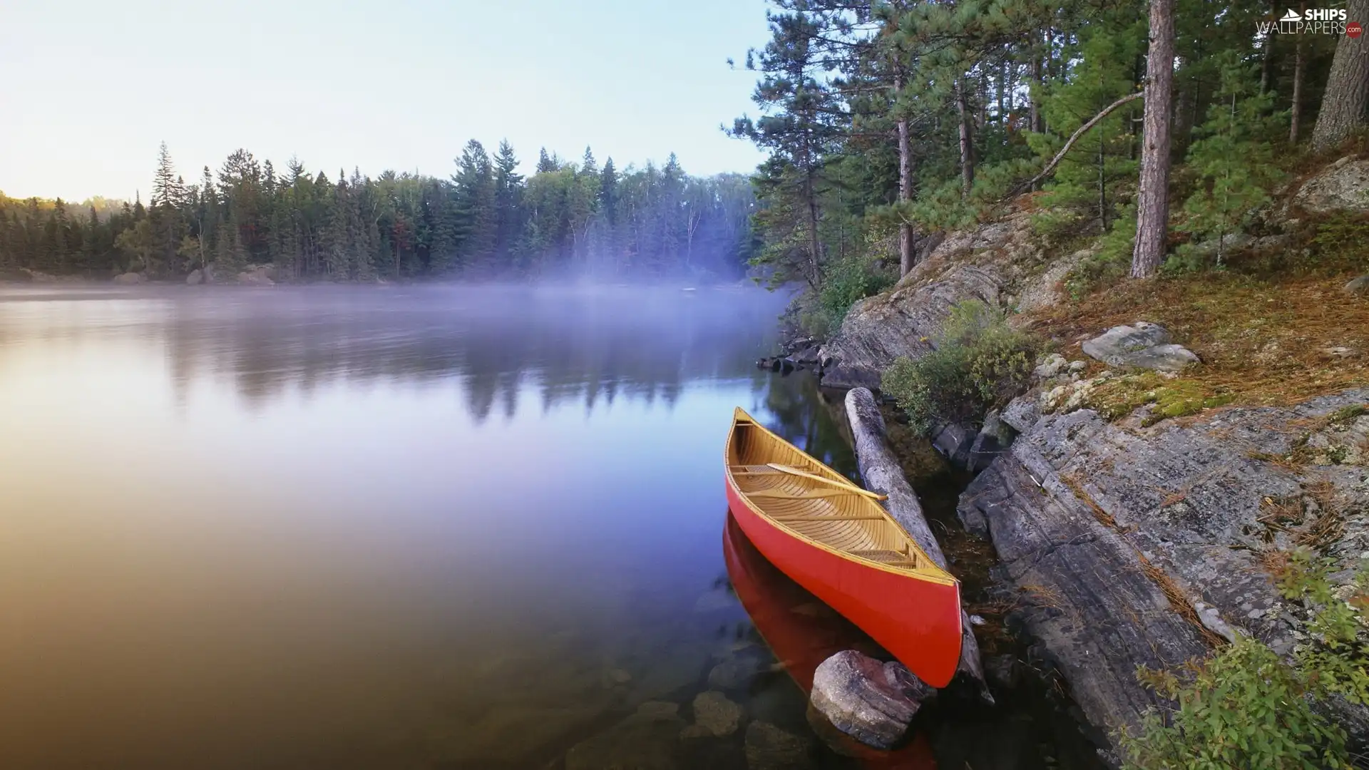 lake, Kayak, Fog, forest