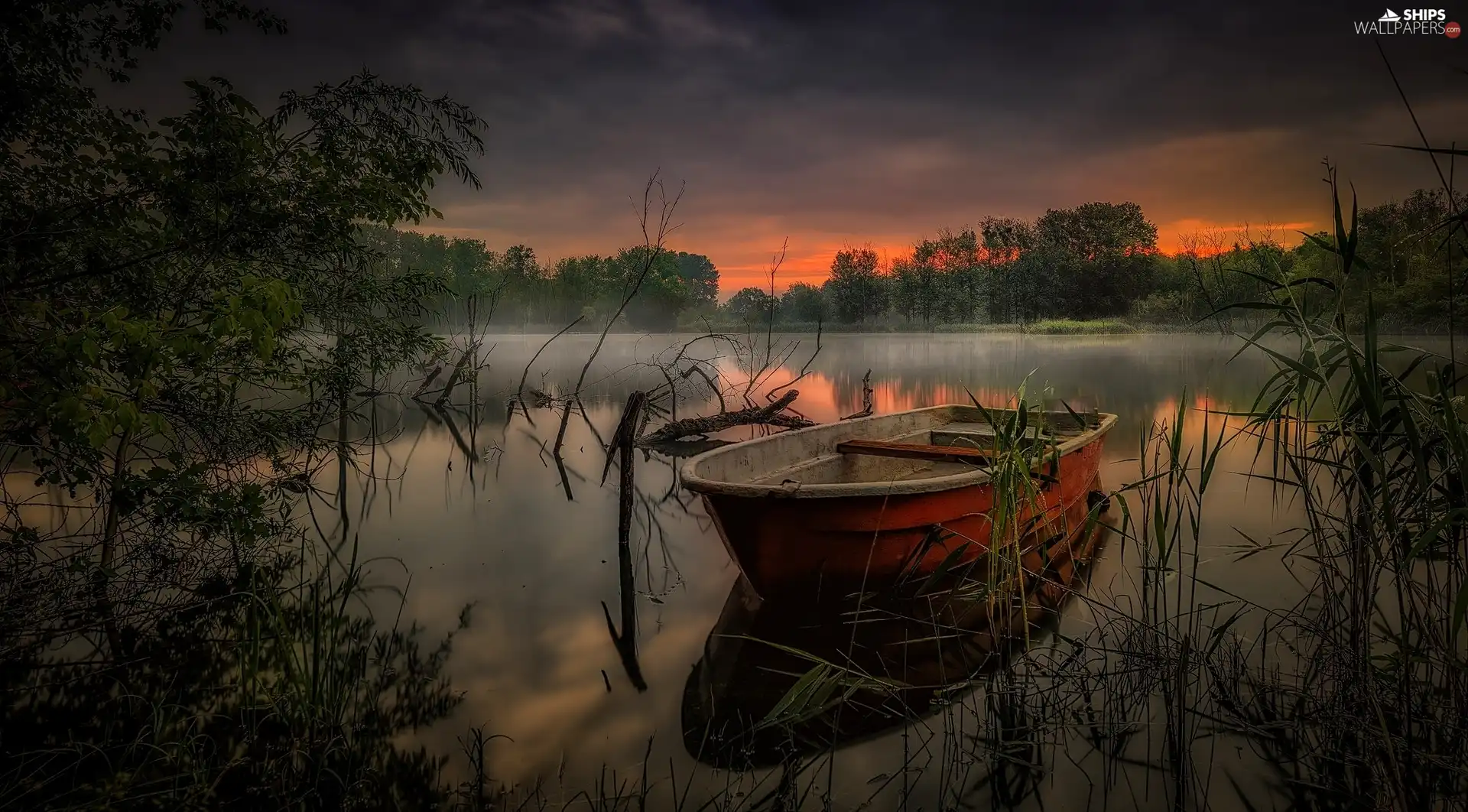 Fog, Boat, viewes, Great Sunsets, lake, trees, grass