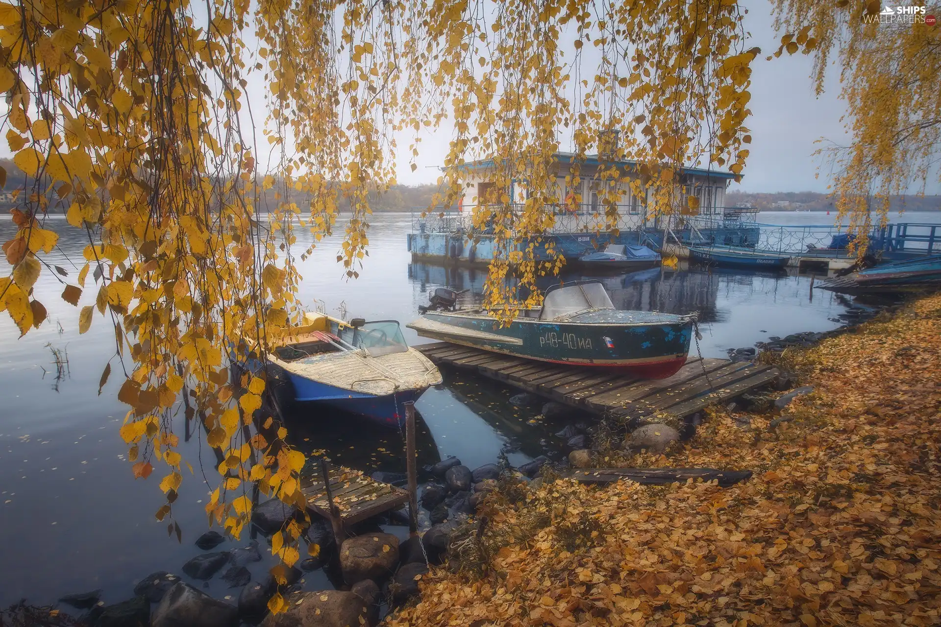 motorboat, lake, branch pics, birch-tree, autumn, Harbour