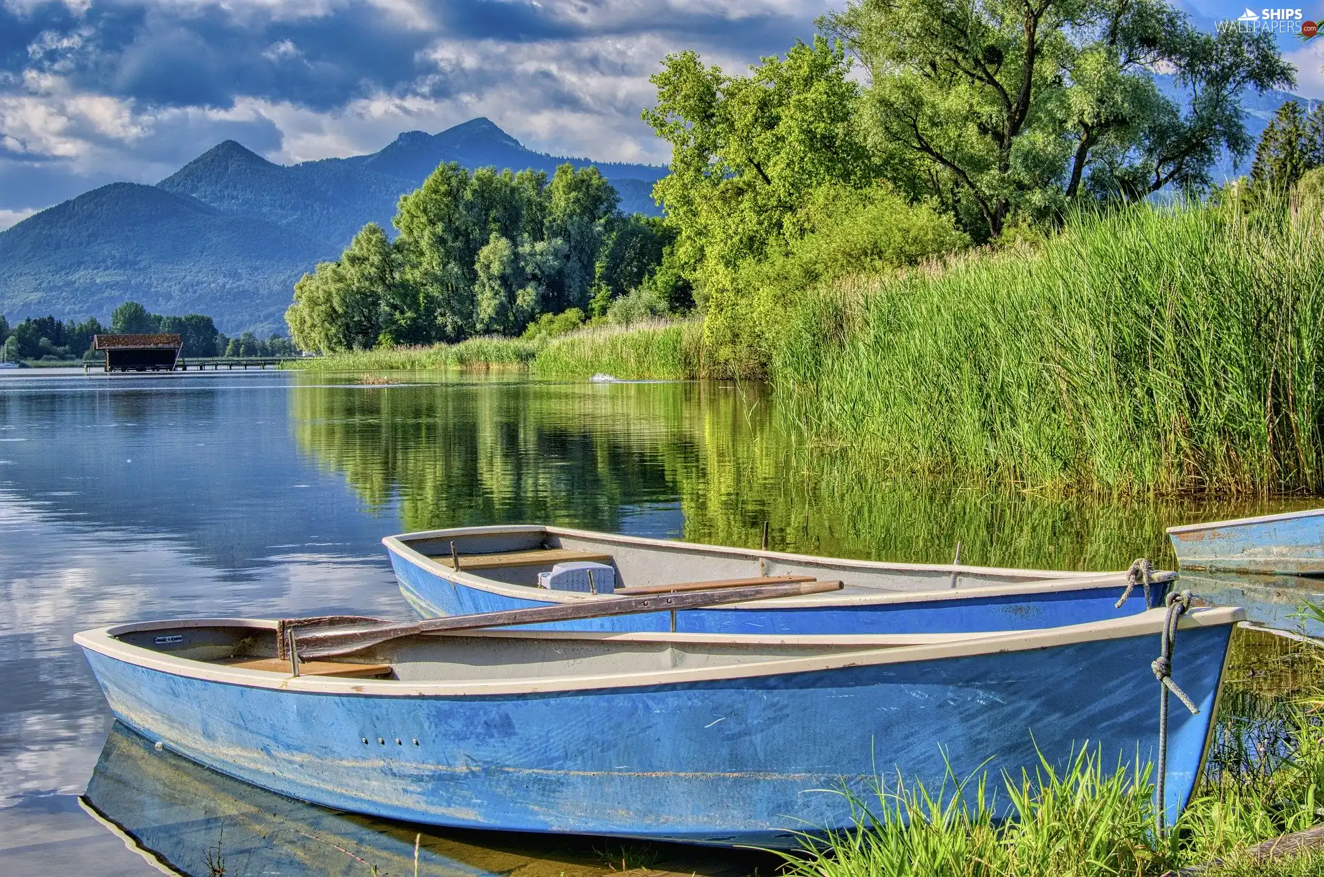 trees, lake, rushes, Mountains, viewes, boats