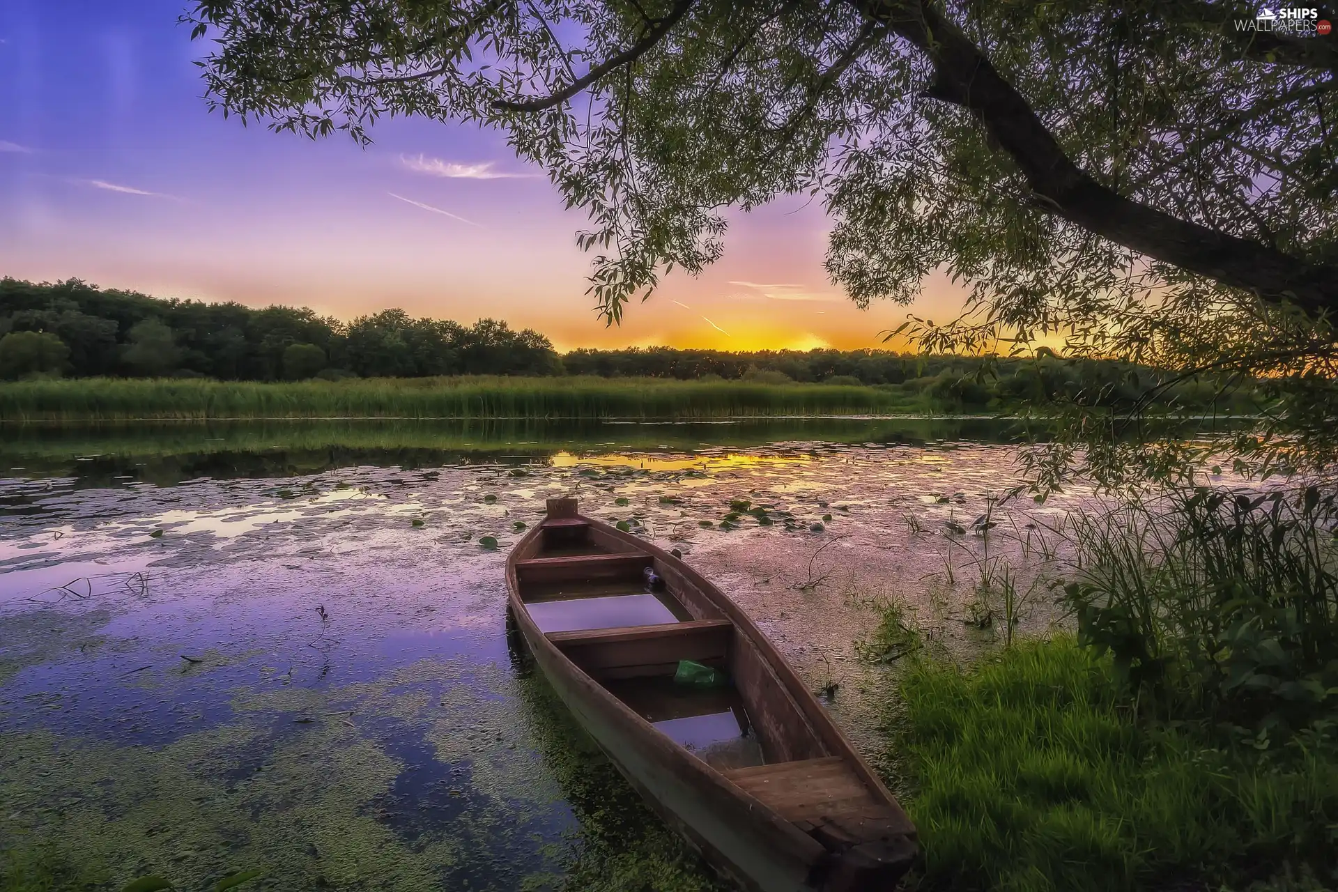 grass, coast, Great Sunsets, trees, branch pics, Boat, Pond - car, viewes