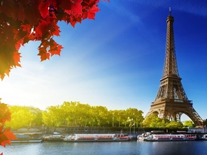 Red, Leaf, Eiffla, Paris, tower