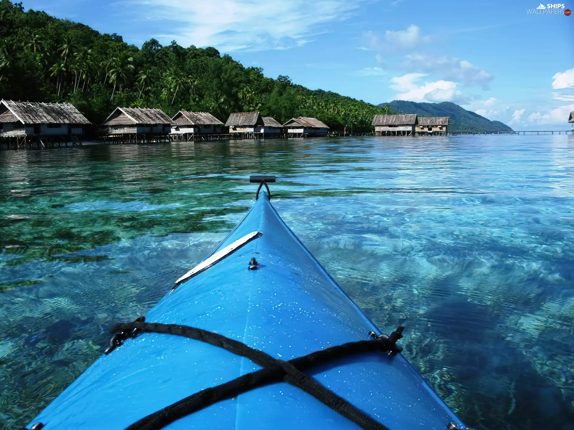trees, water, Islands, Houses, Kayak, viewes, Raja Ampat