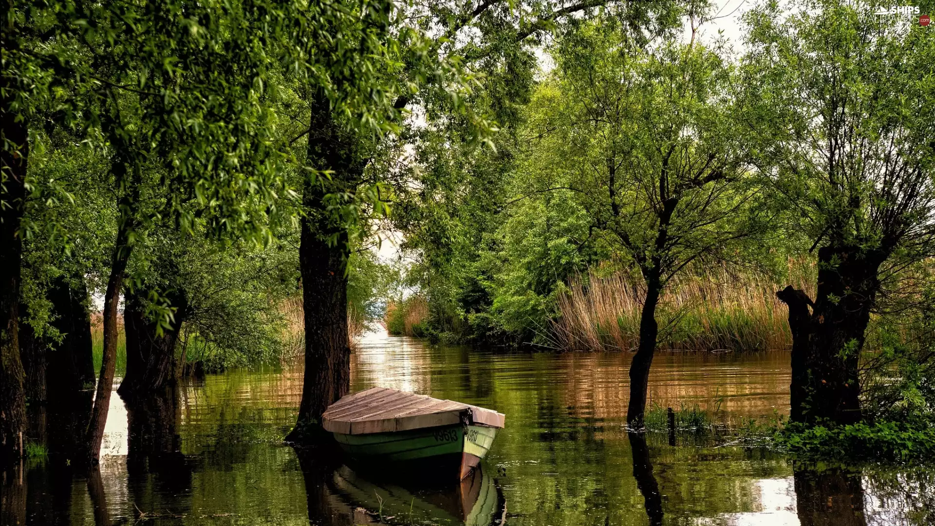 Austria, Boat, River