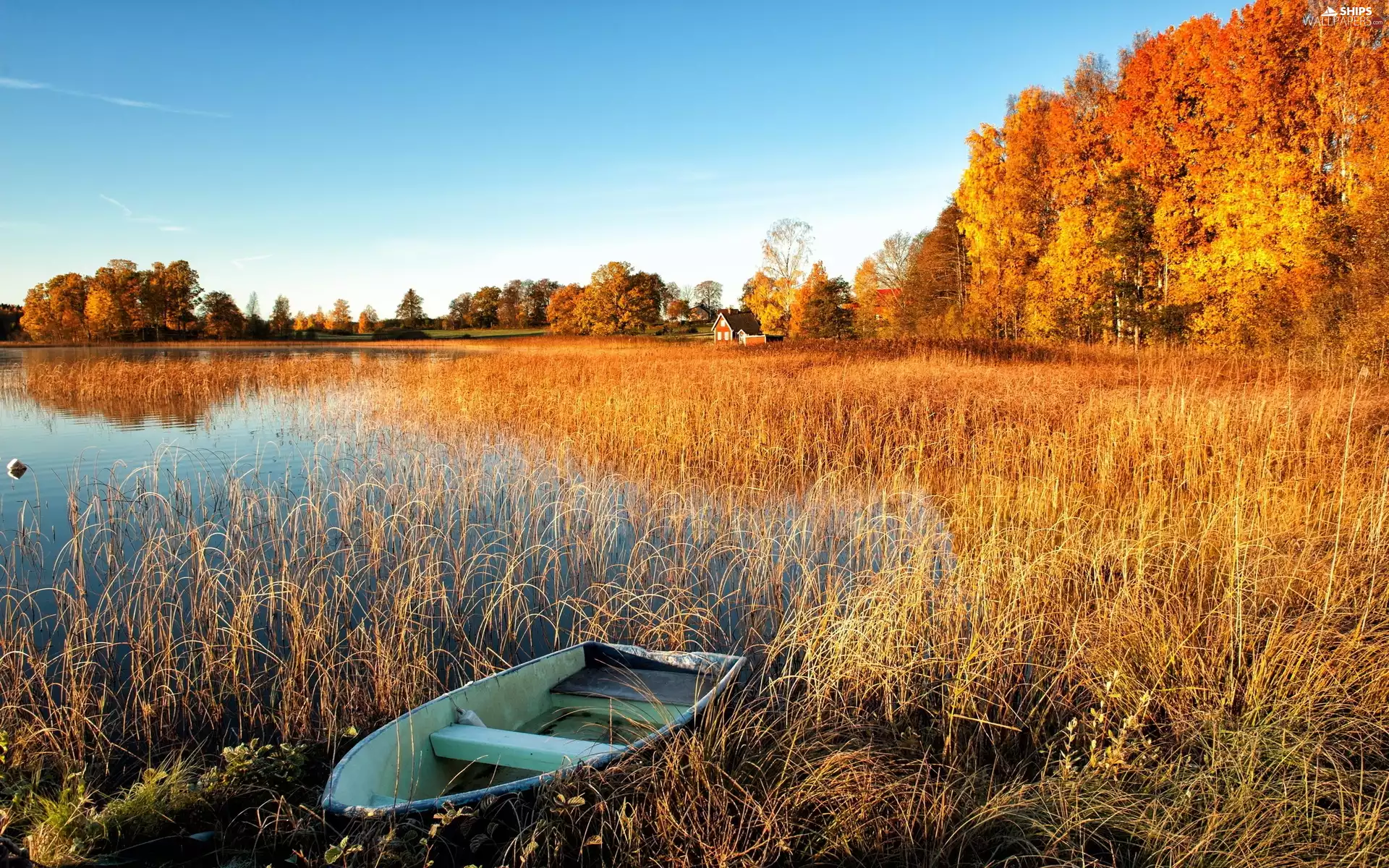 rushes, lake, Houses, autumn, forest, Boat