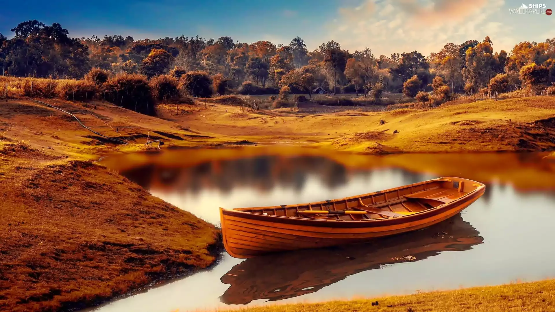 trees, Boat, forest, autumn, viewes, Pond - car
