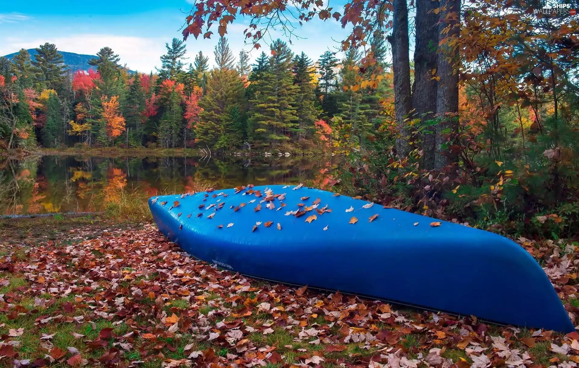 River, Boat, Mountains, autumn, forest, Leaf