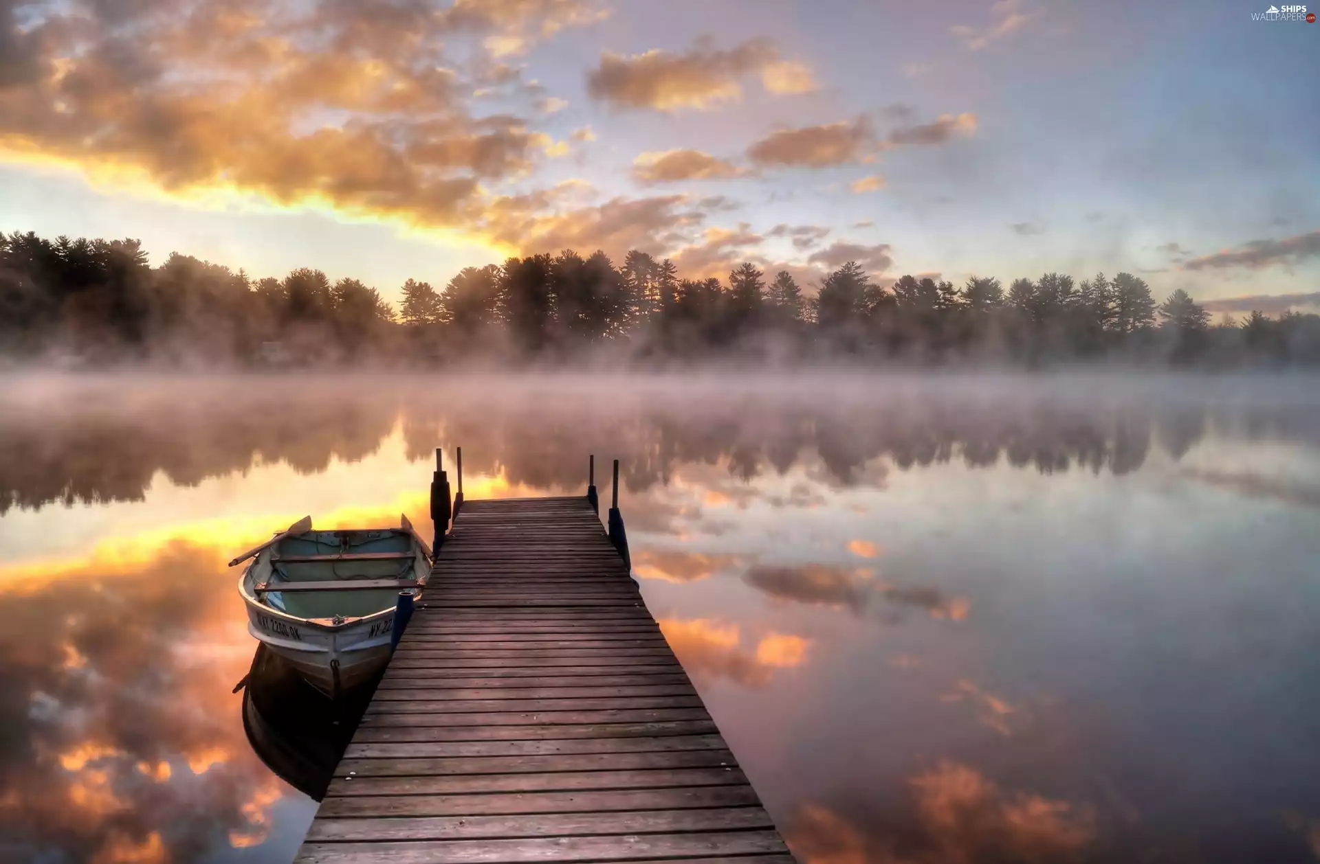 forest, lake, Sunrise, bath-tub, Platform, Fog