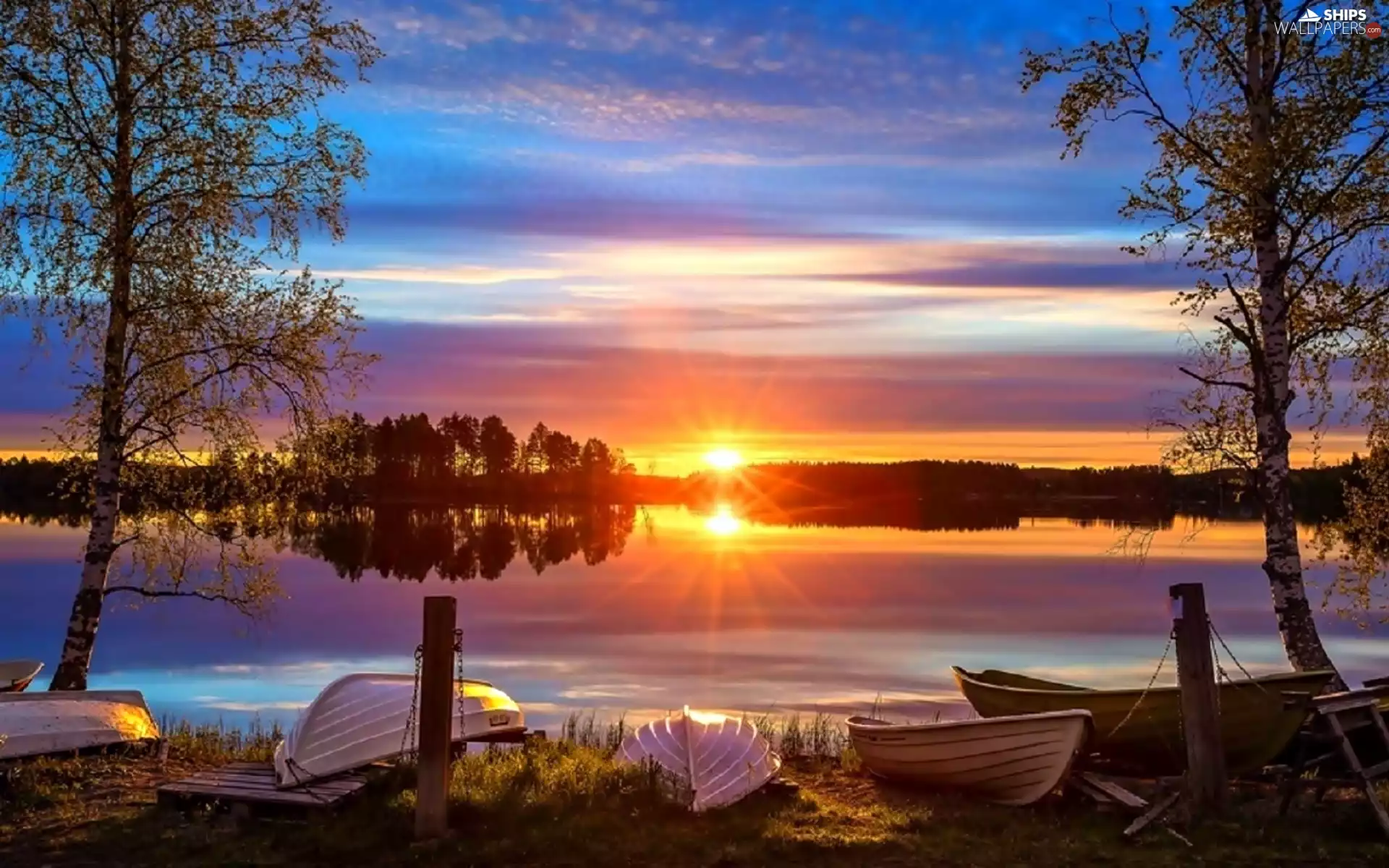 woods, boats, sun, birch, lake, east, rays