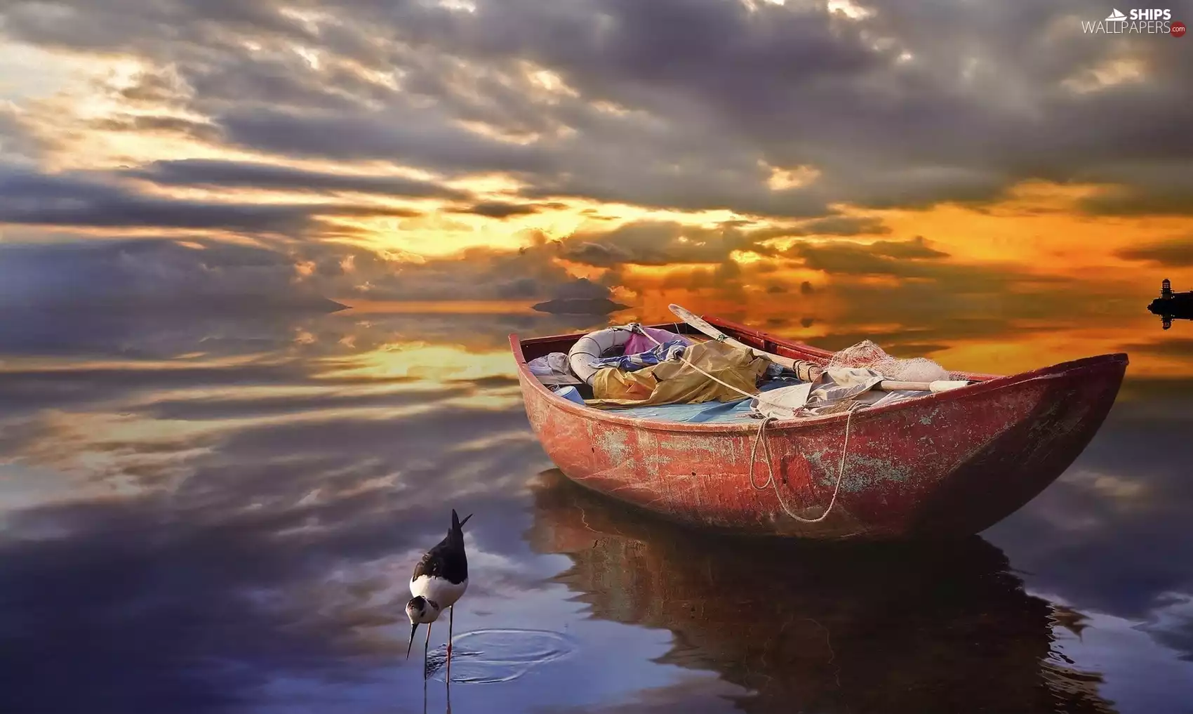 Boat, Bird, sun, sea, west