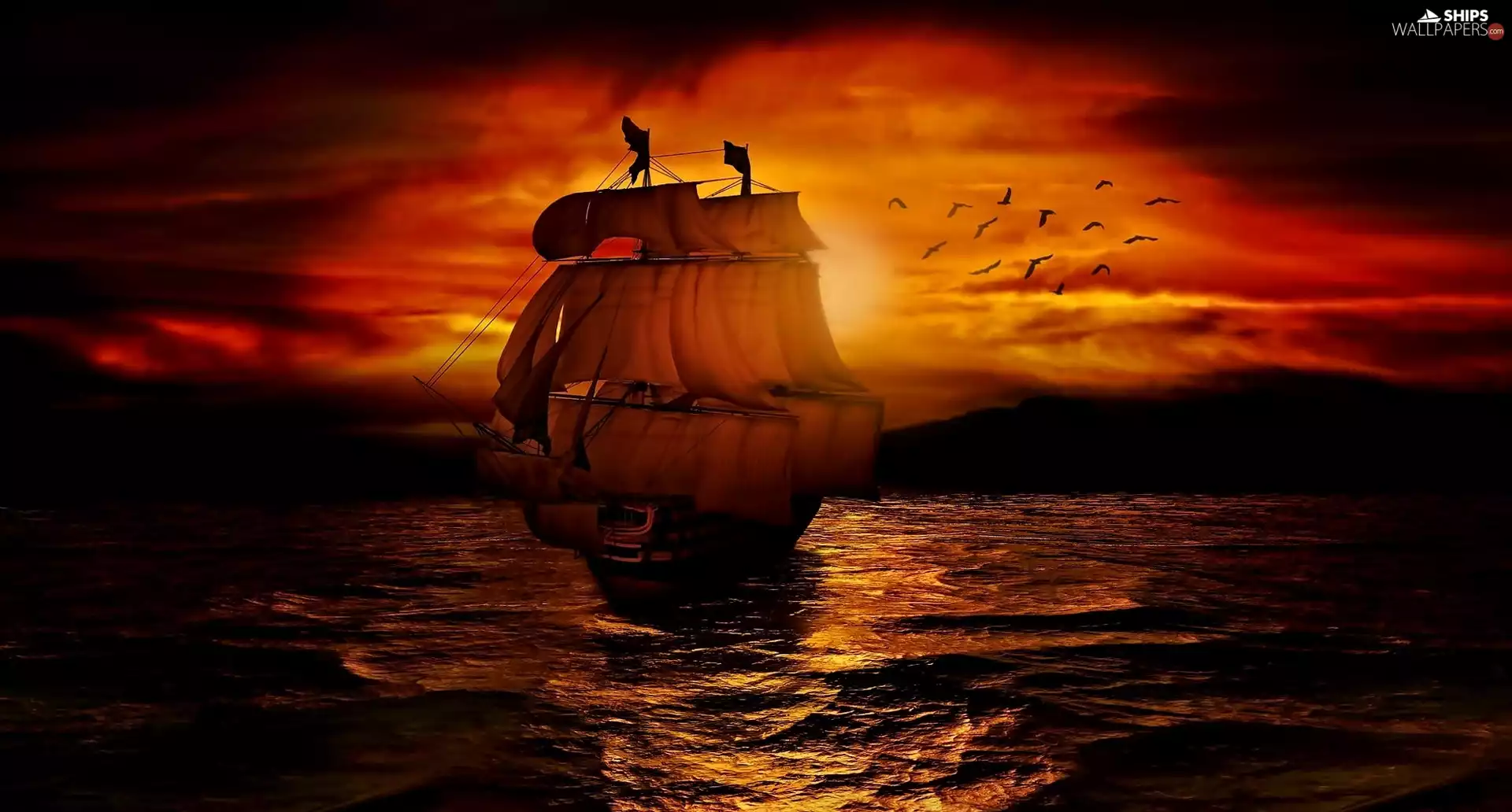 west, sun, sea, birds, sailing vessel