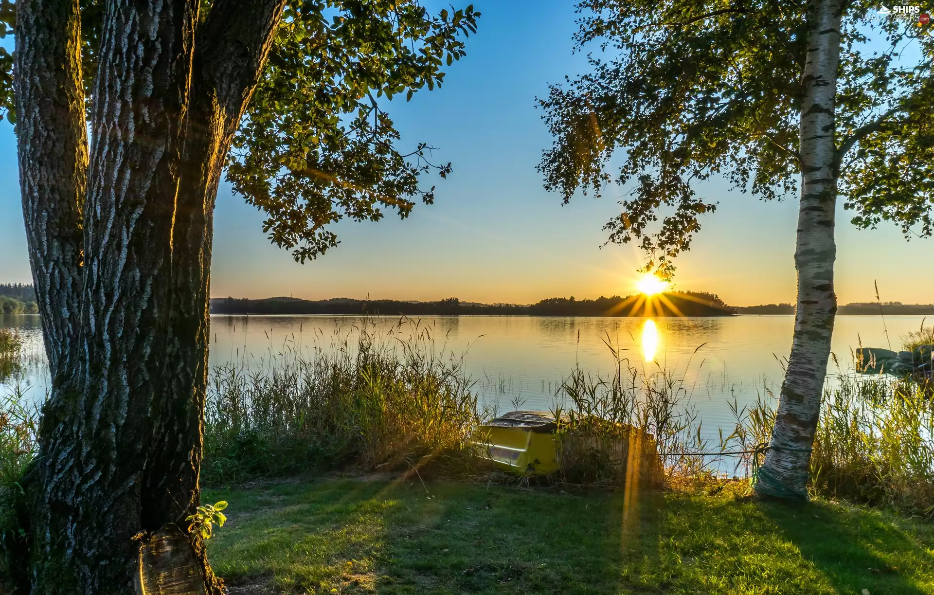 trees, coast, birch-tree, Sunrise, lake, viewes, Boat