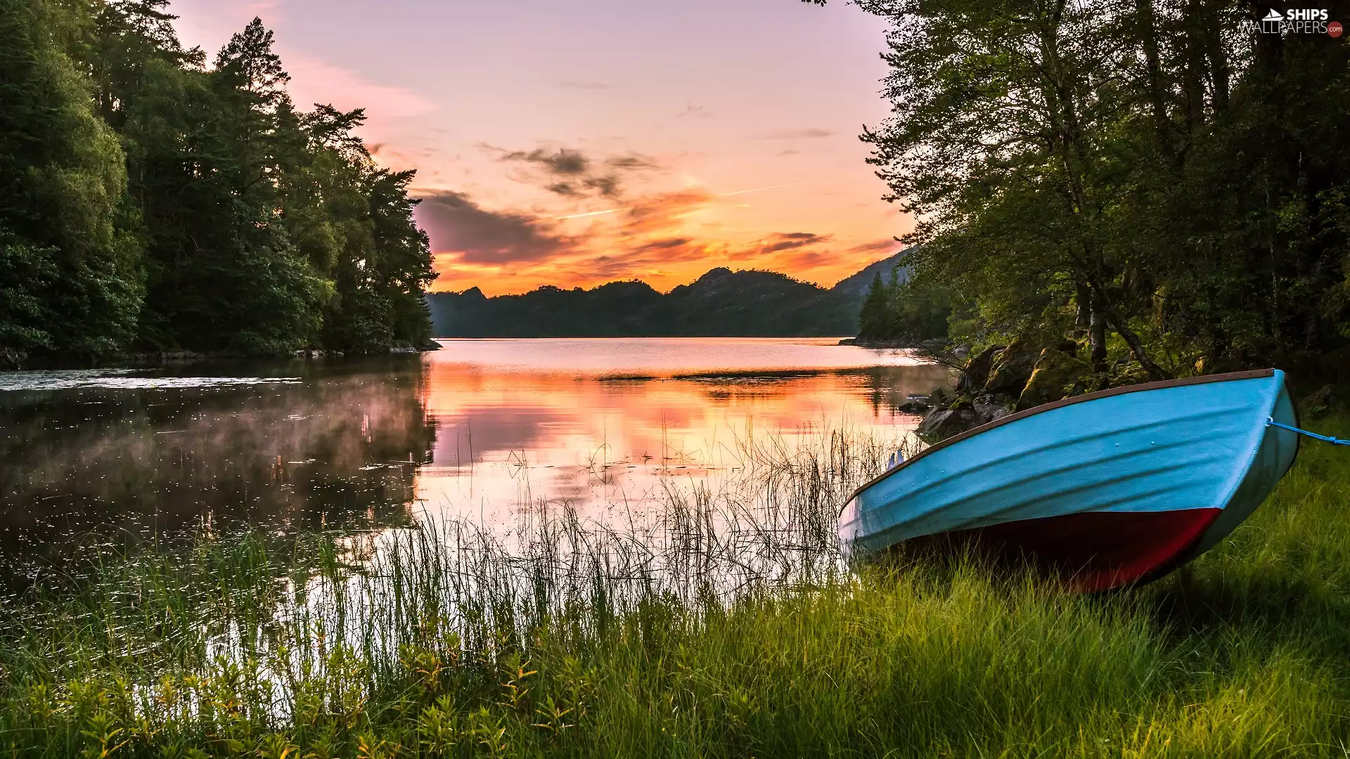trees, viewes, Fog, Blue, Sunrise, forest, River, Boat