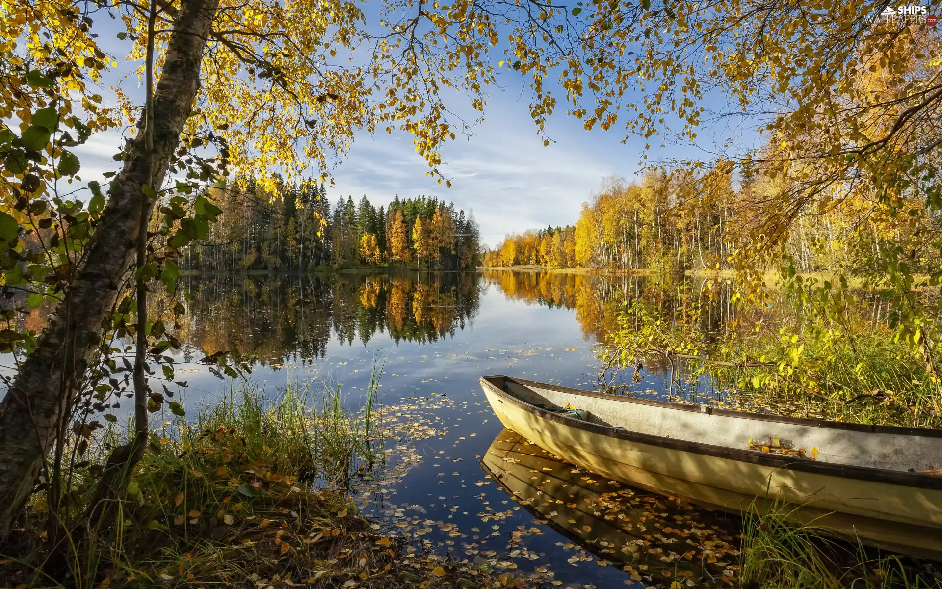Boat, lake, trees, viewes, sunny, day, forest, autumn, birch