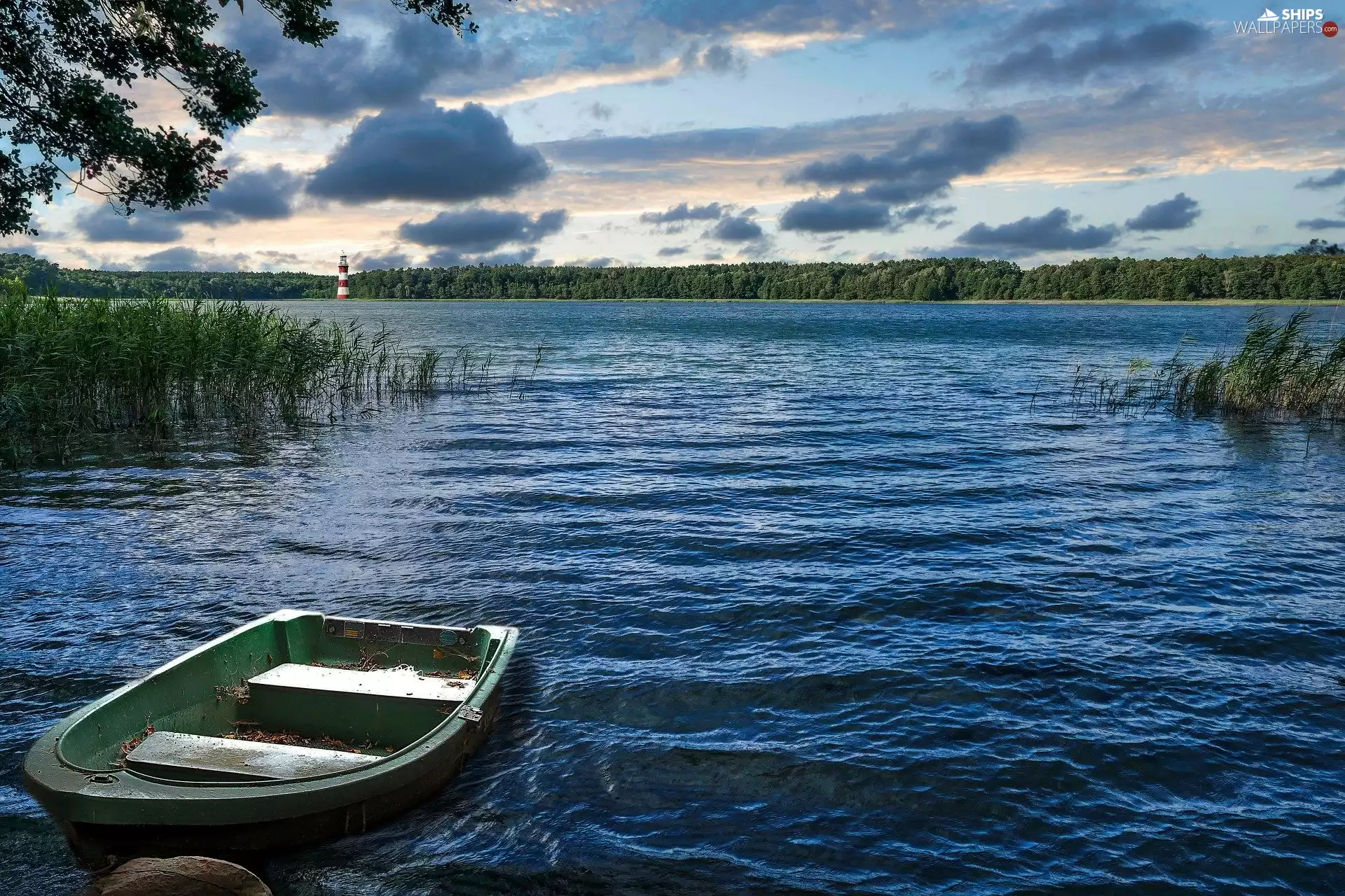 lake, clouds, cane, Boat