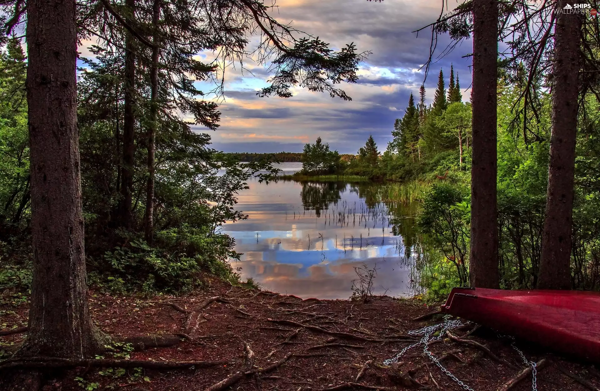 Boat, forest, lake