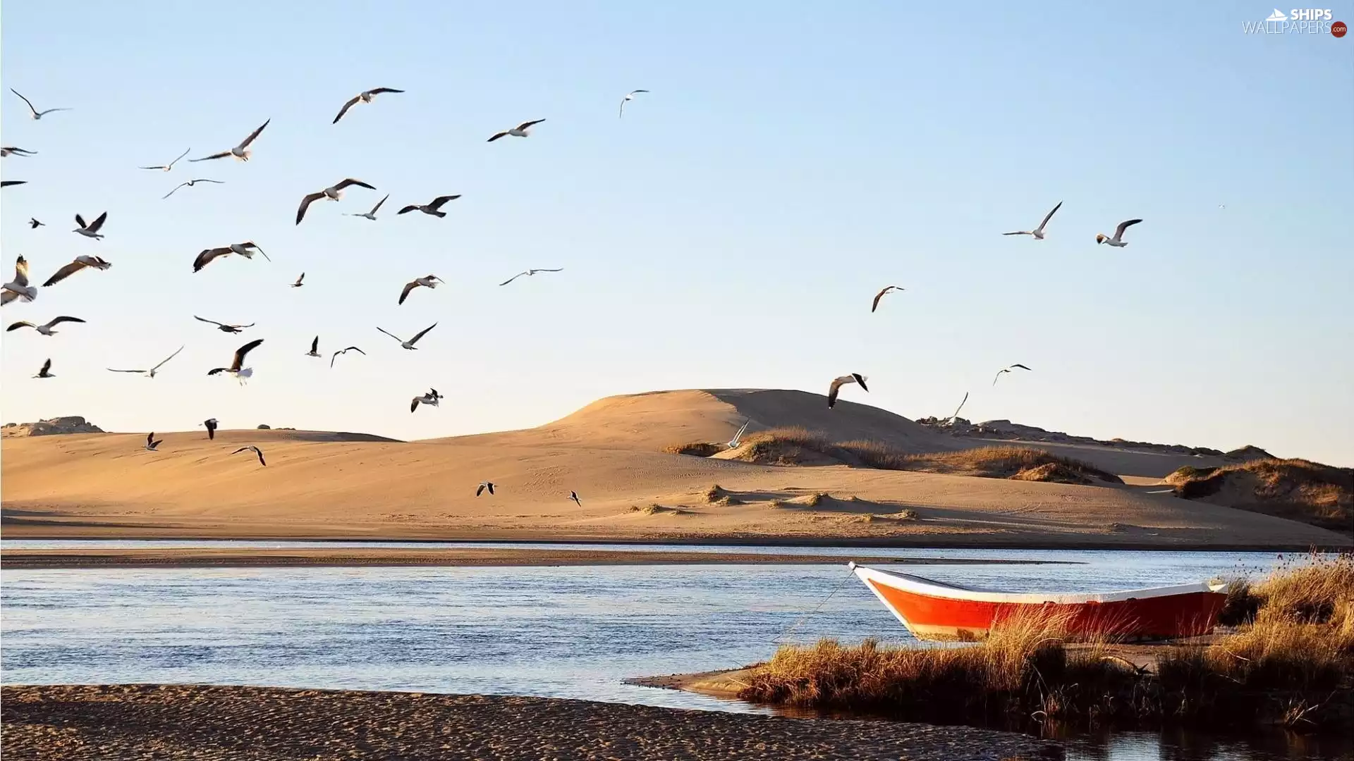 lake, gulls, Sky, Boat