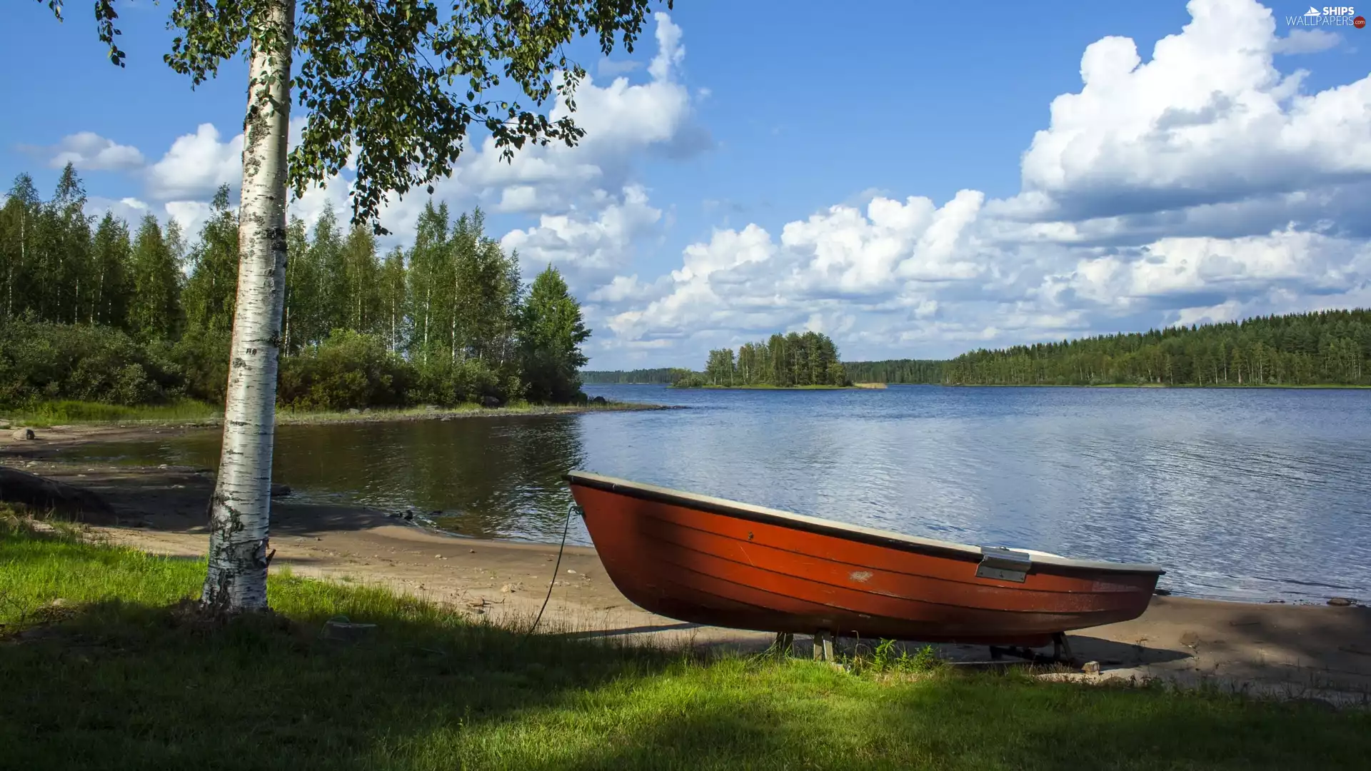 viewes, birch-tree, Boat, trees, lake