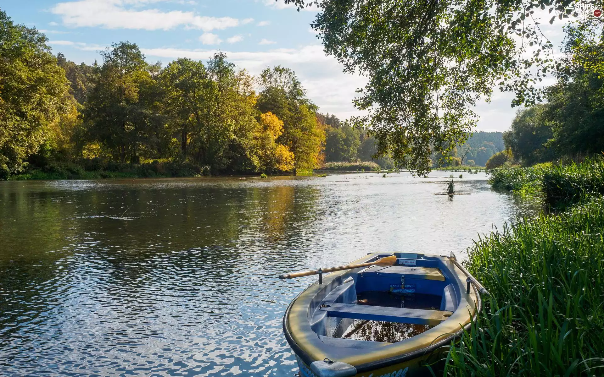 lake, trees, viewes, Boat