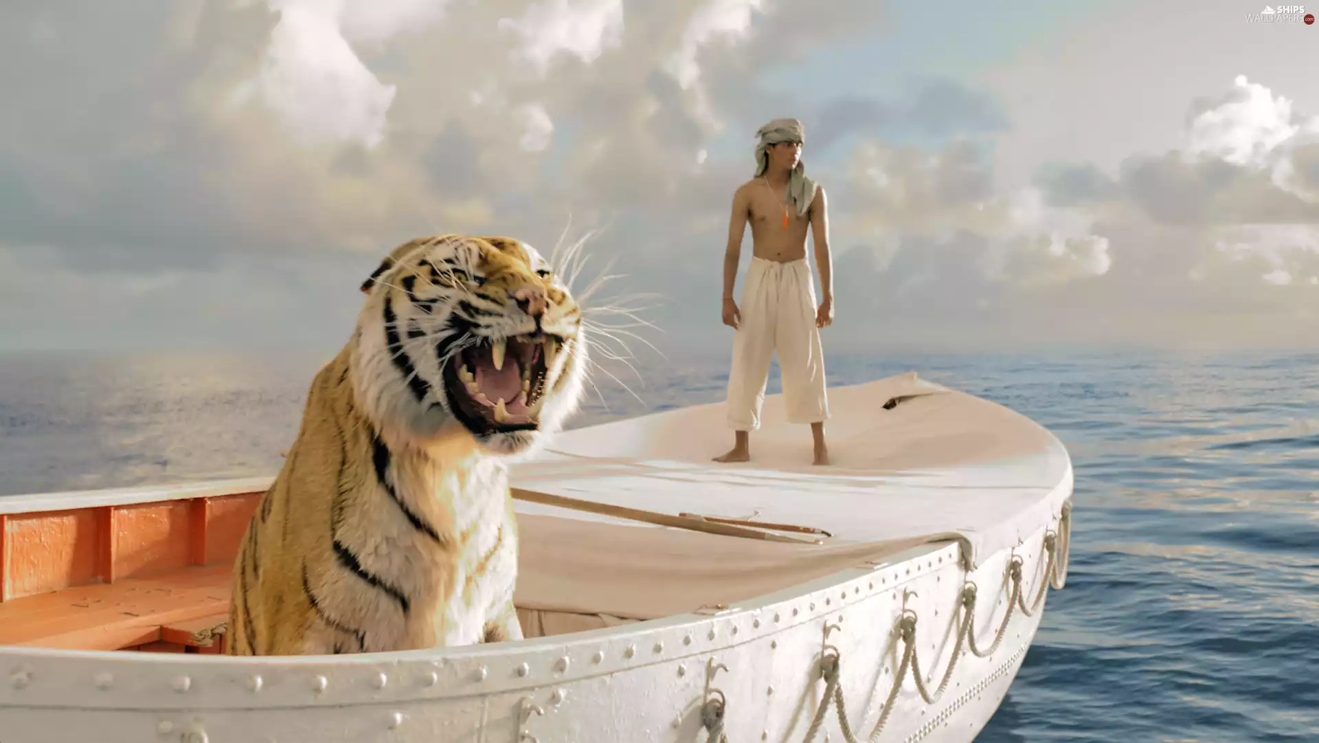 sea, clouds, tiger, Boat, a man