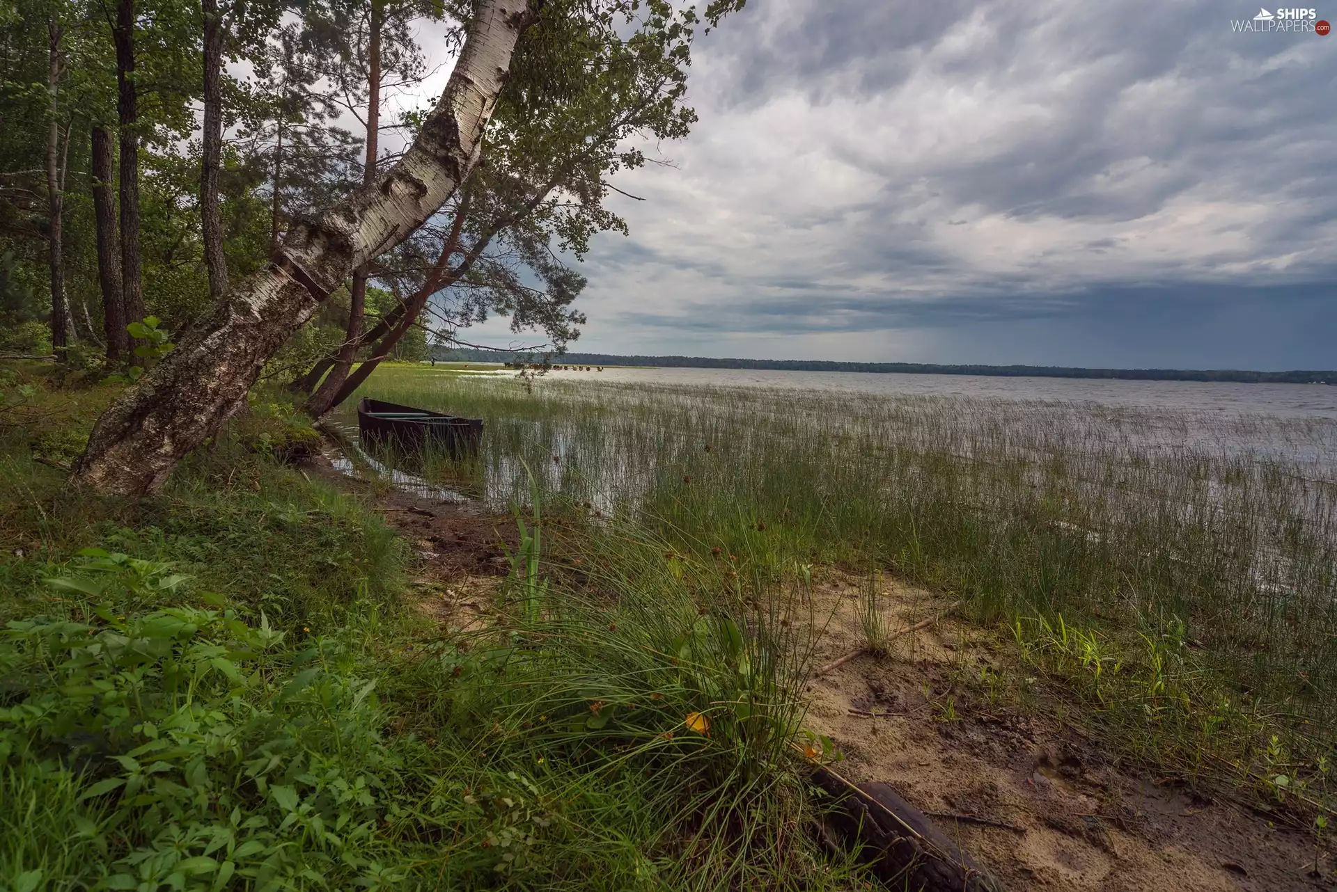 viewes, lake, Plants, Boat, birch-tree, trees