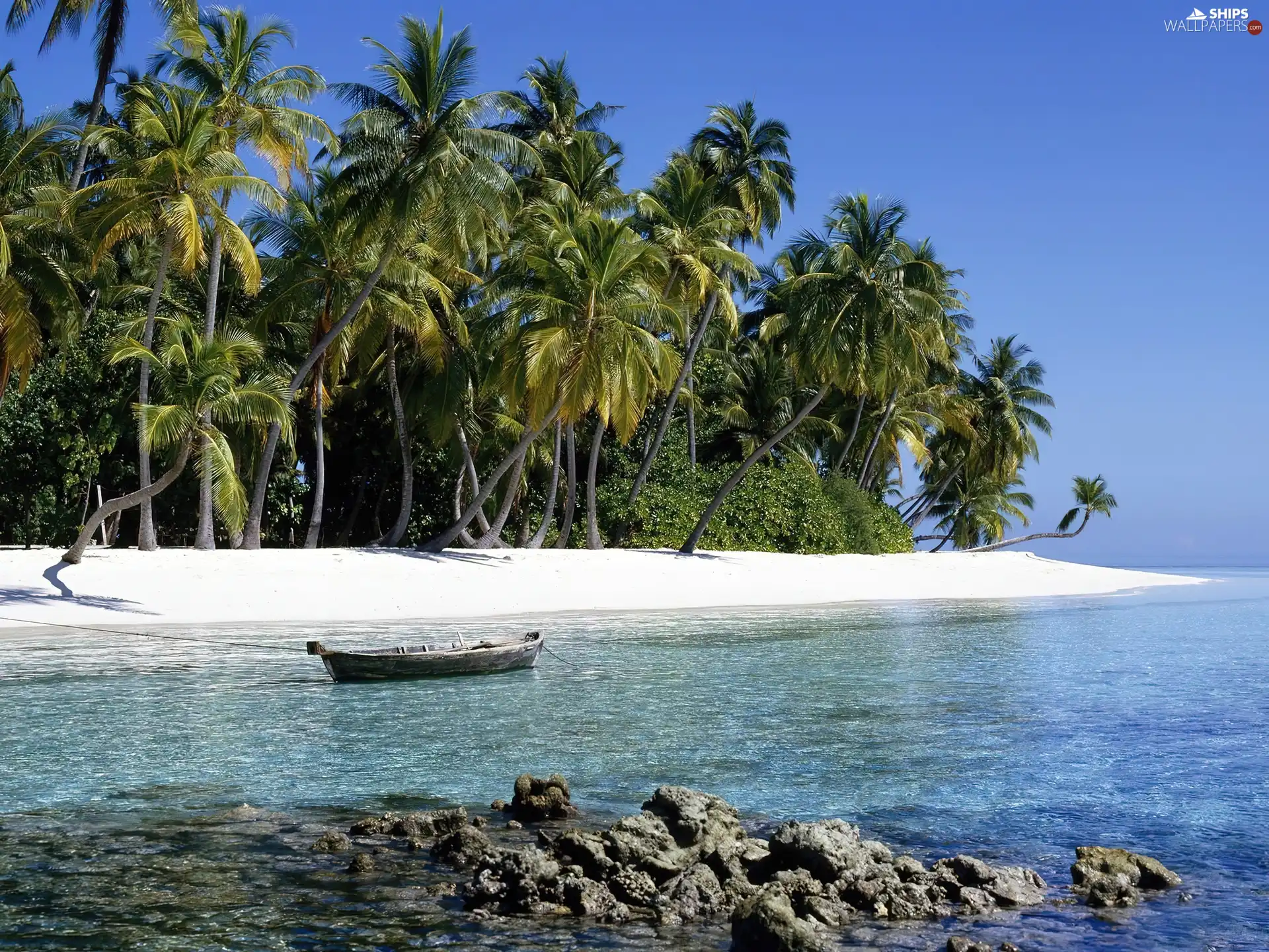 summer, Palms, Boat, Beaches