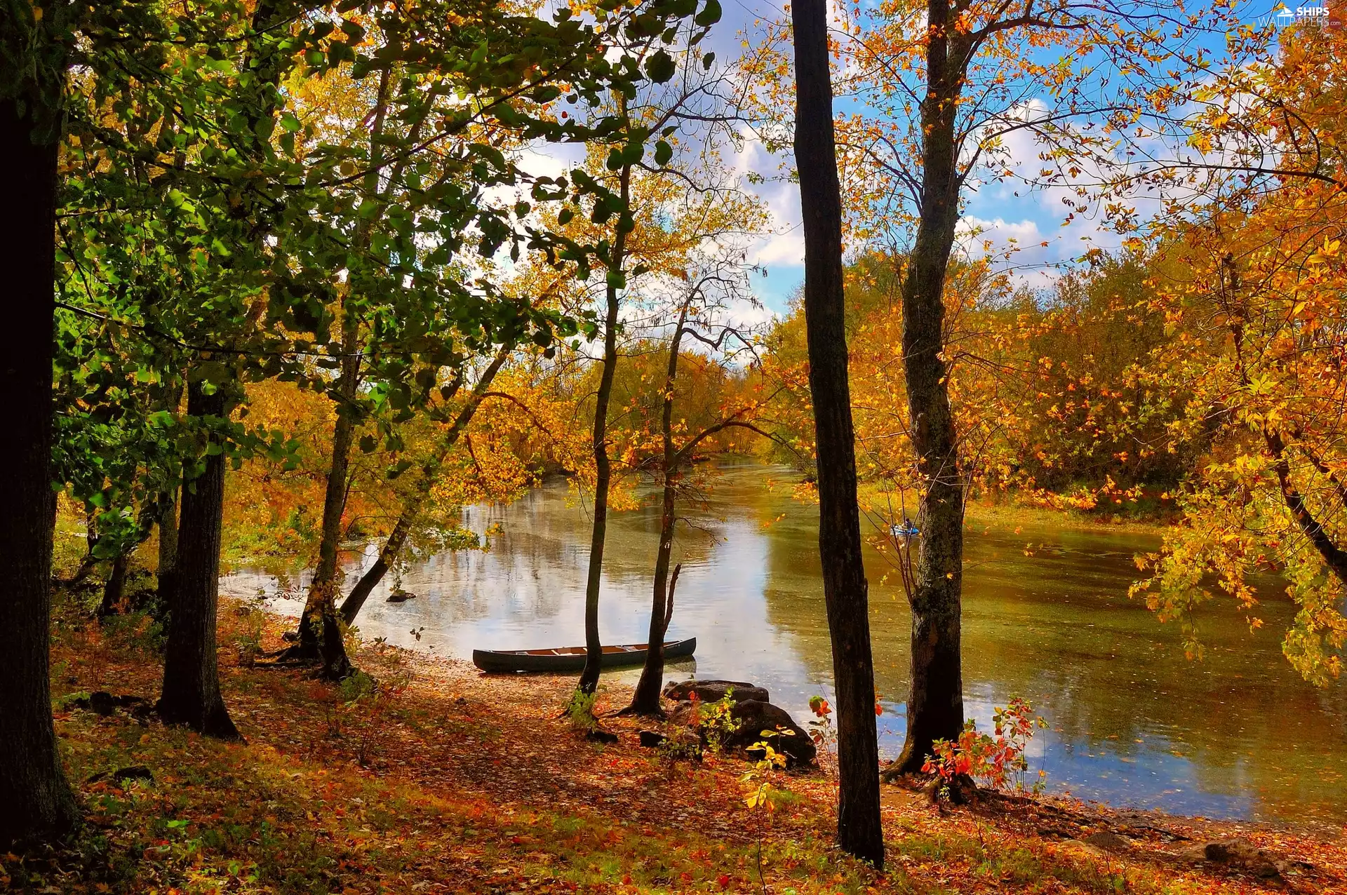 River, Boat, trees, viewes, autumn