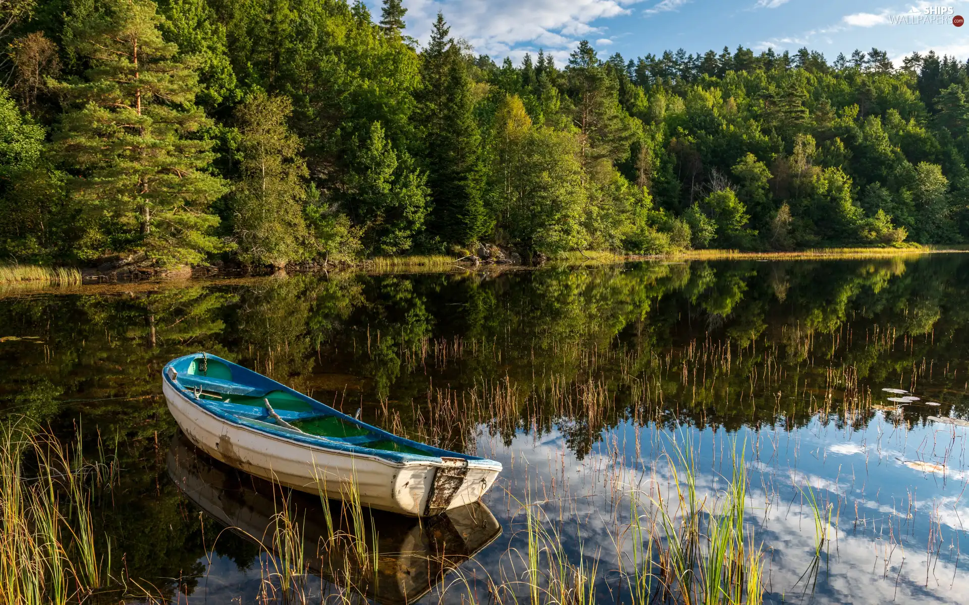 viewes, forest, reflection, Boat, lake, trees