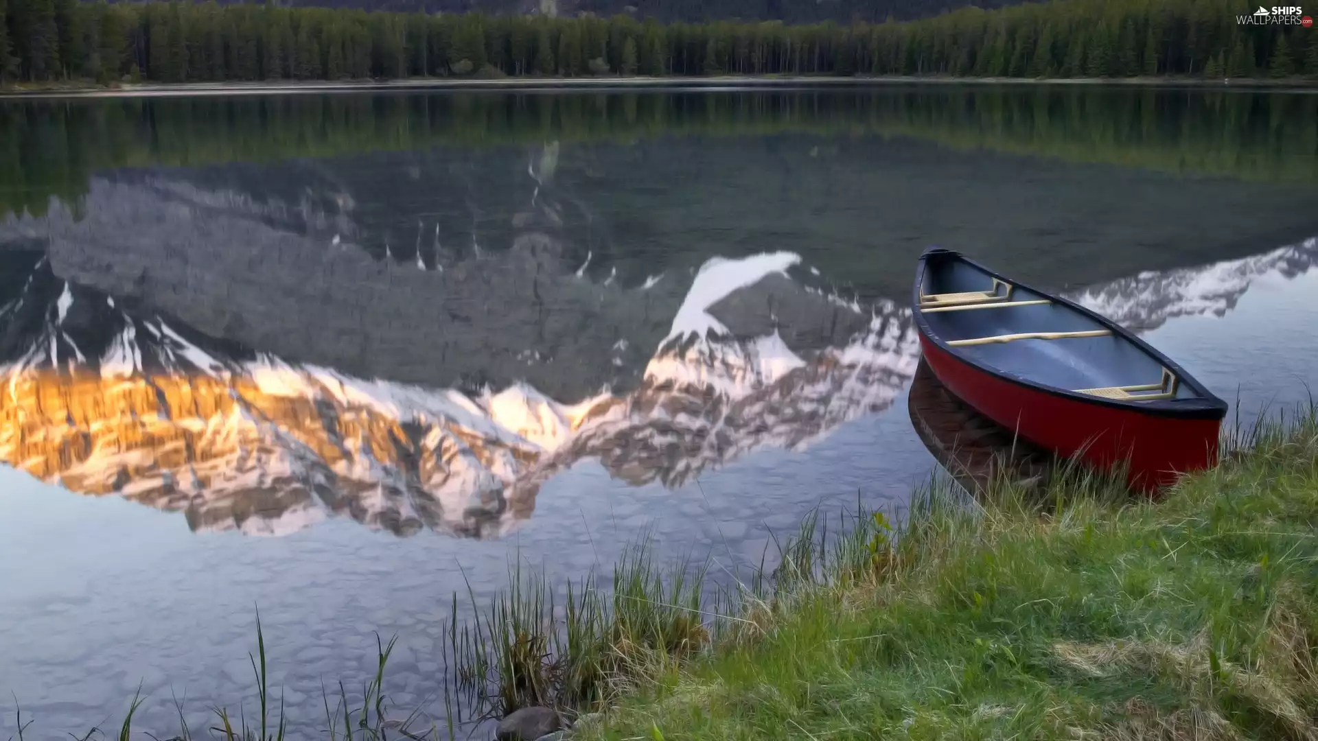 grass, coast, viewes, Boat, lake, trees, reflection