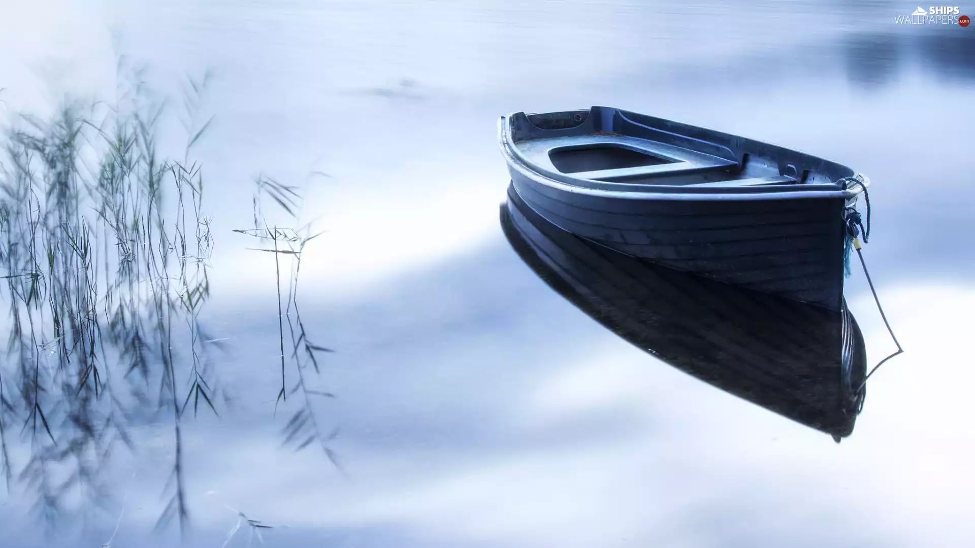 water, rushes, blur, Boat