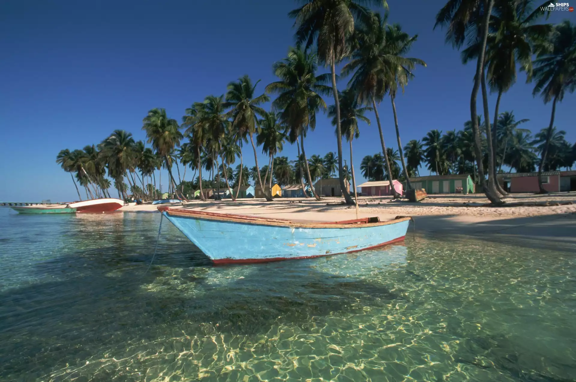 Beaches, Houses, Palms, boats