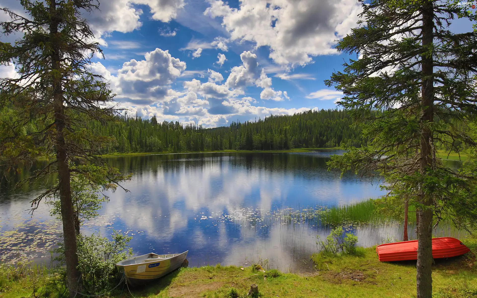 viewes, boats, forest, trees, lake