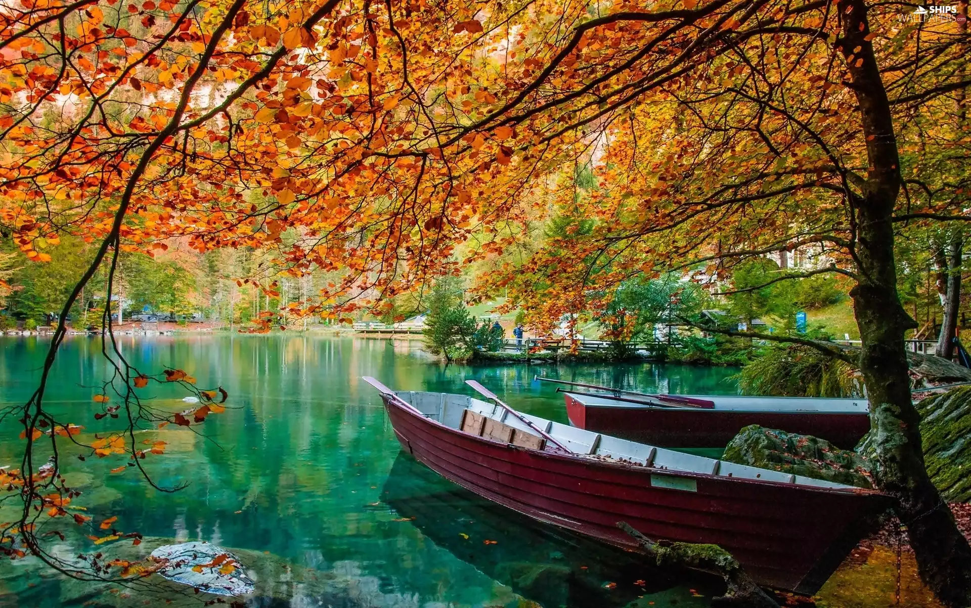 lake, forest, autumn, boats