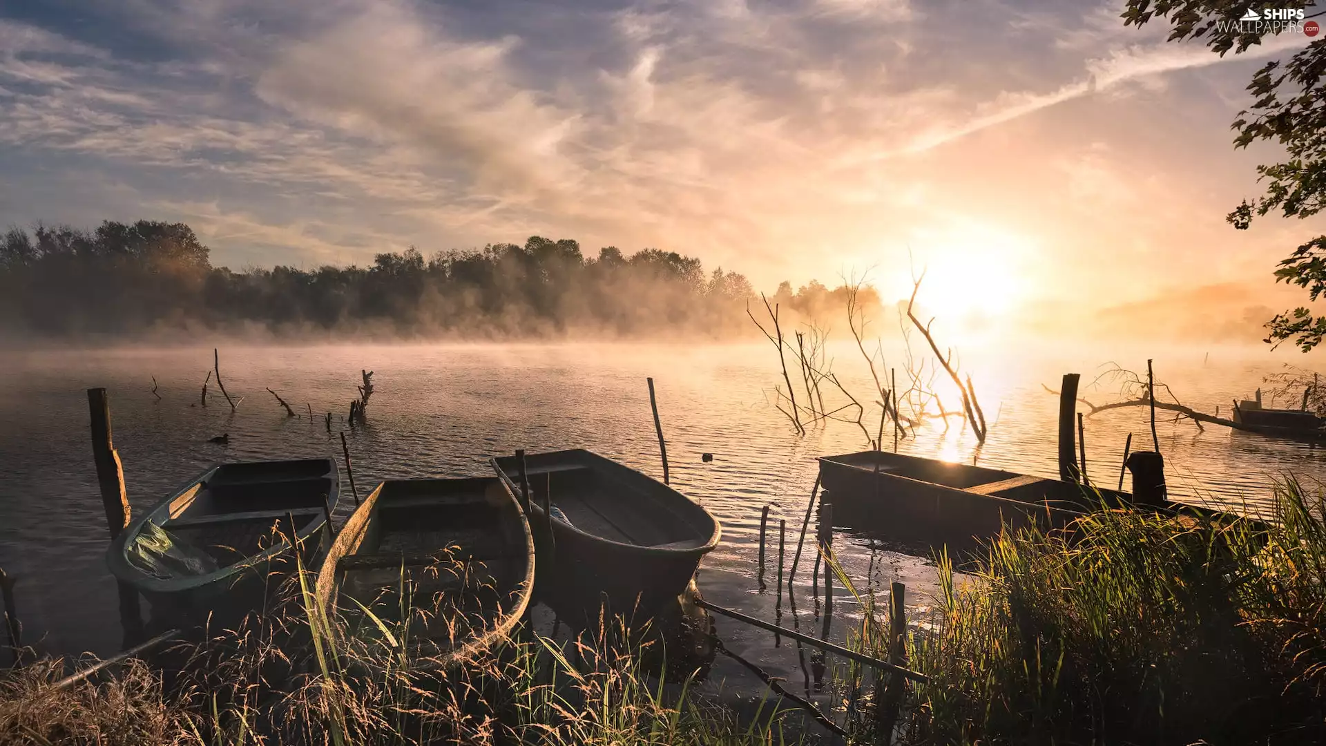 four, boats, lake, Fog, Sunrise
