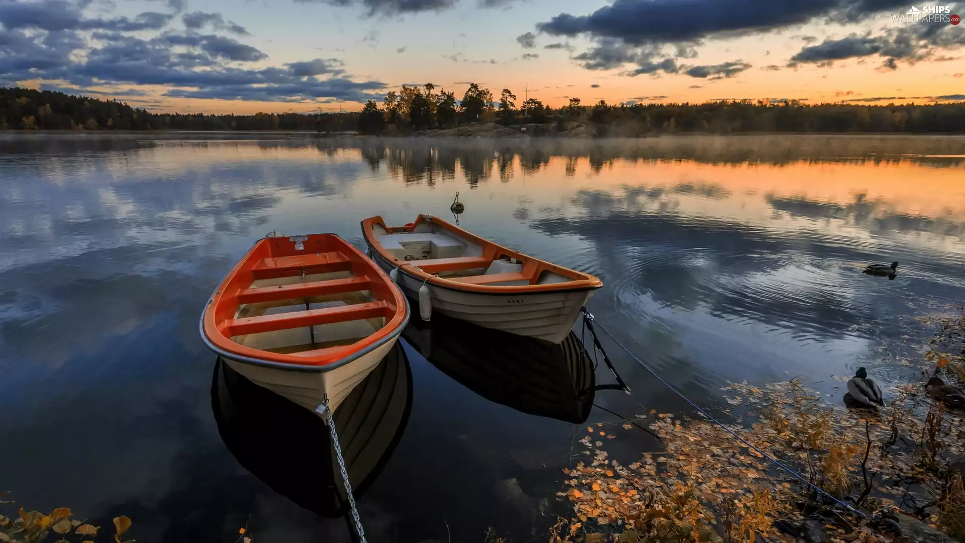 woods, Great Sunsets, boats, ducks, lake