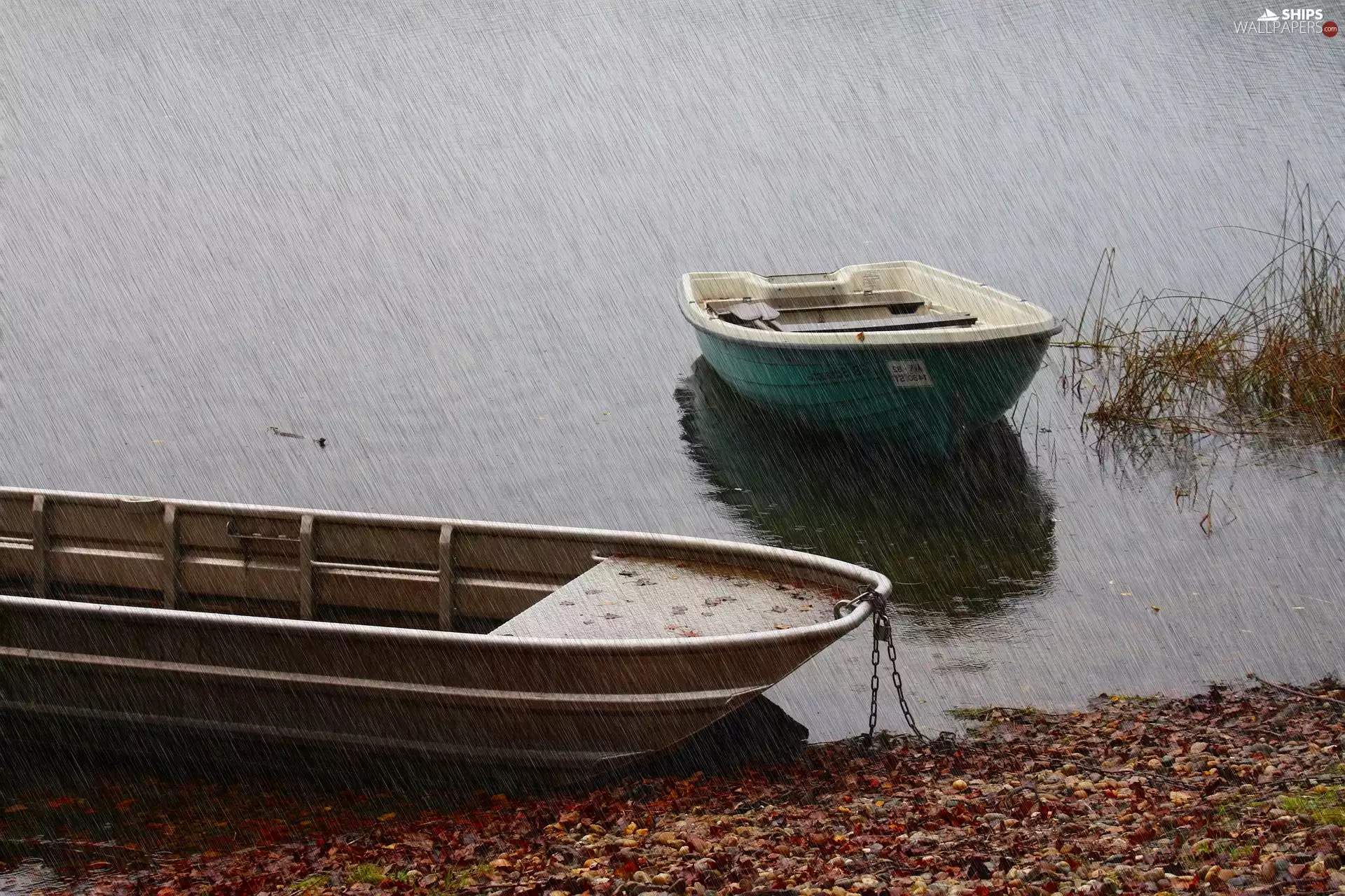 Pond - car, Rain, boats