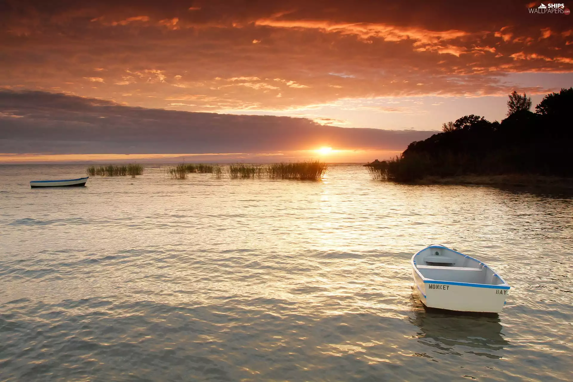 lake, west, viewes, Boats, trees, sun
