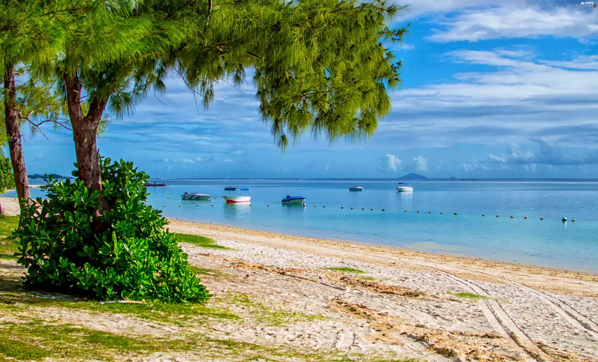trees, Coast, boats, buoy, viewes, Beaches