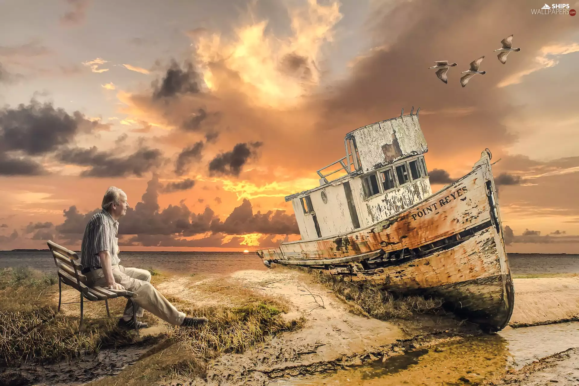 a man, Old car, Bench, sea, birds, Great Sunsets, Ship, wreck, Old car