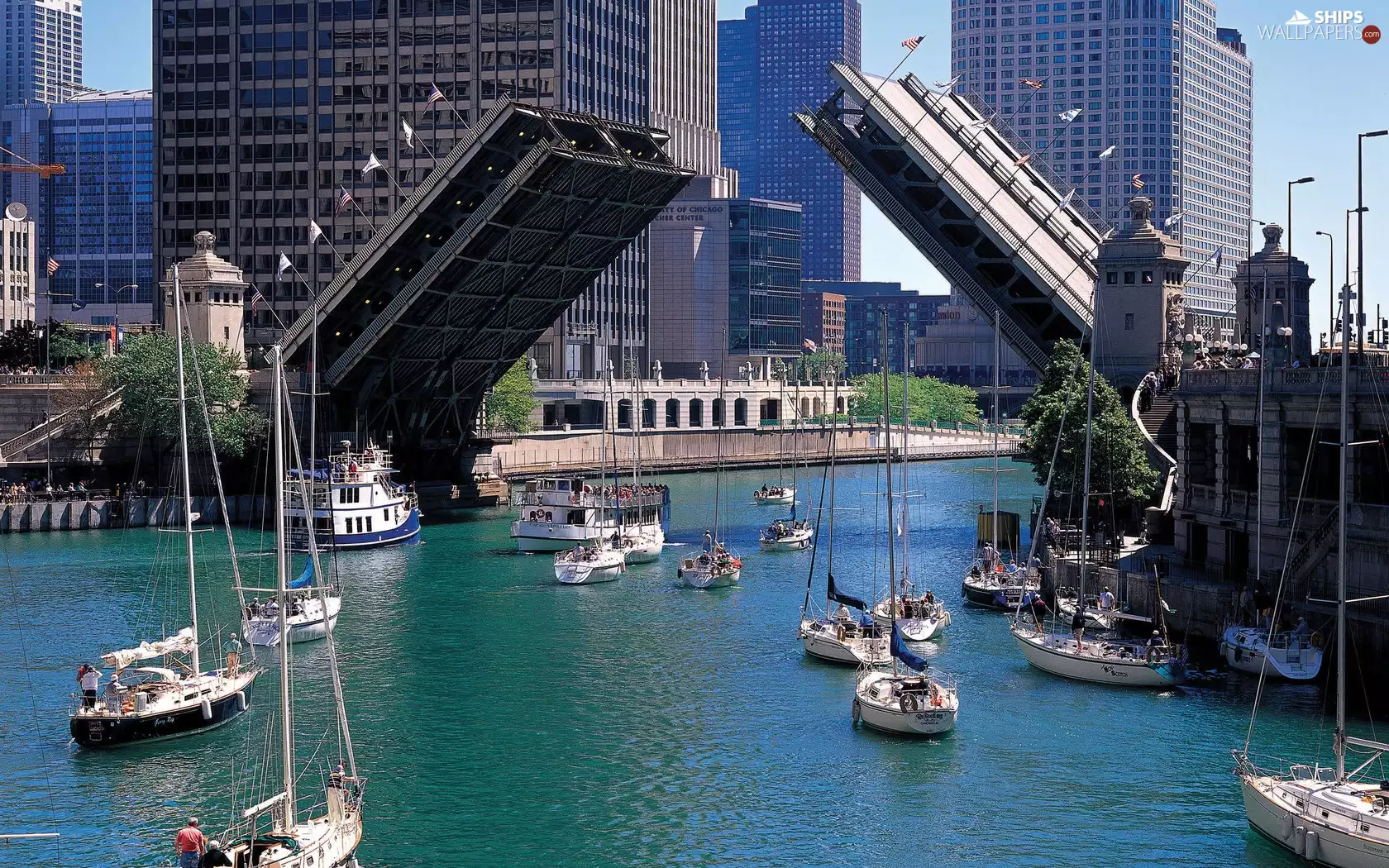 bridge, The United States, boats, Yachts, drawbridge, Chicago