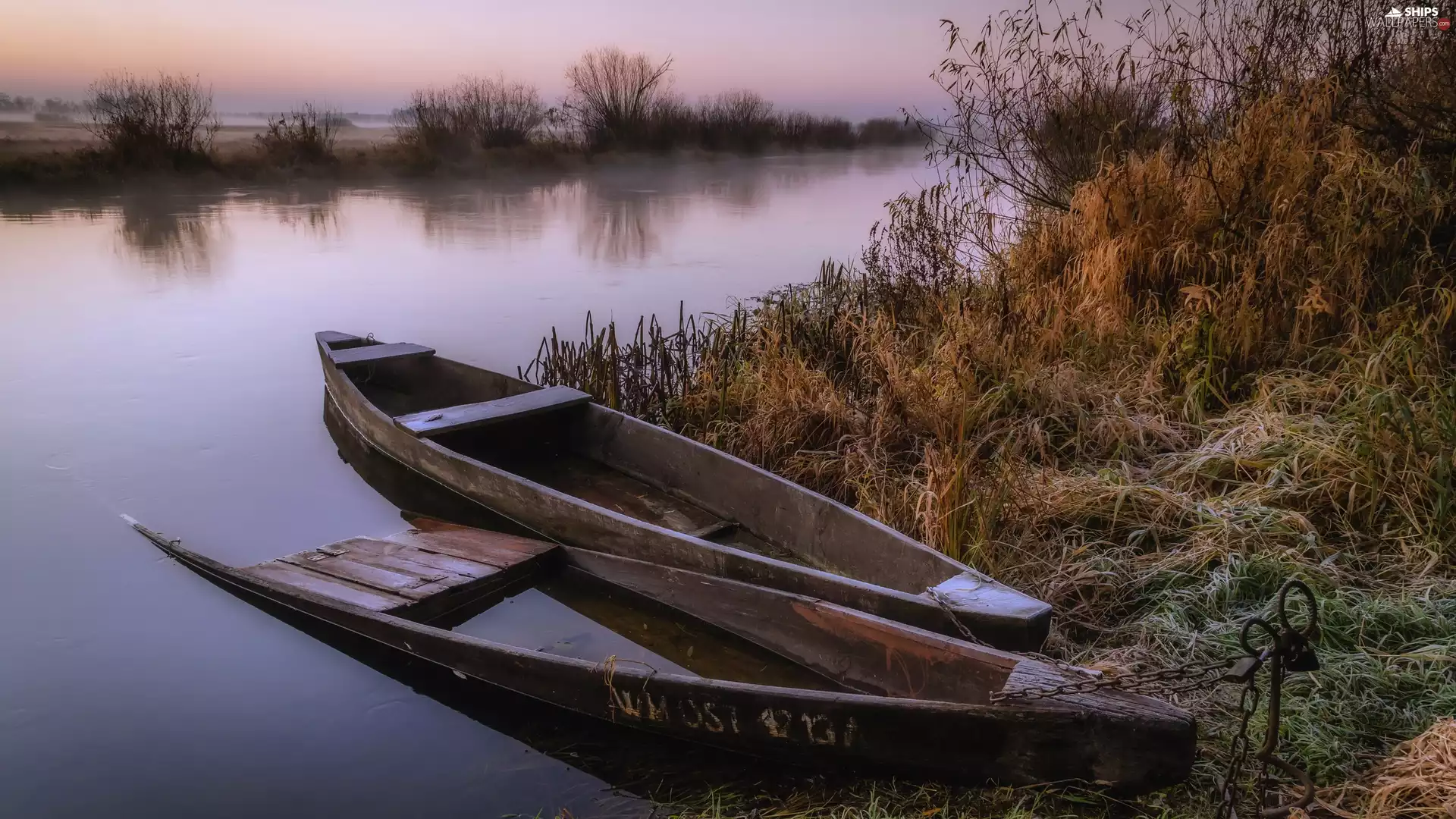 Bush, coast, boats, grass, River