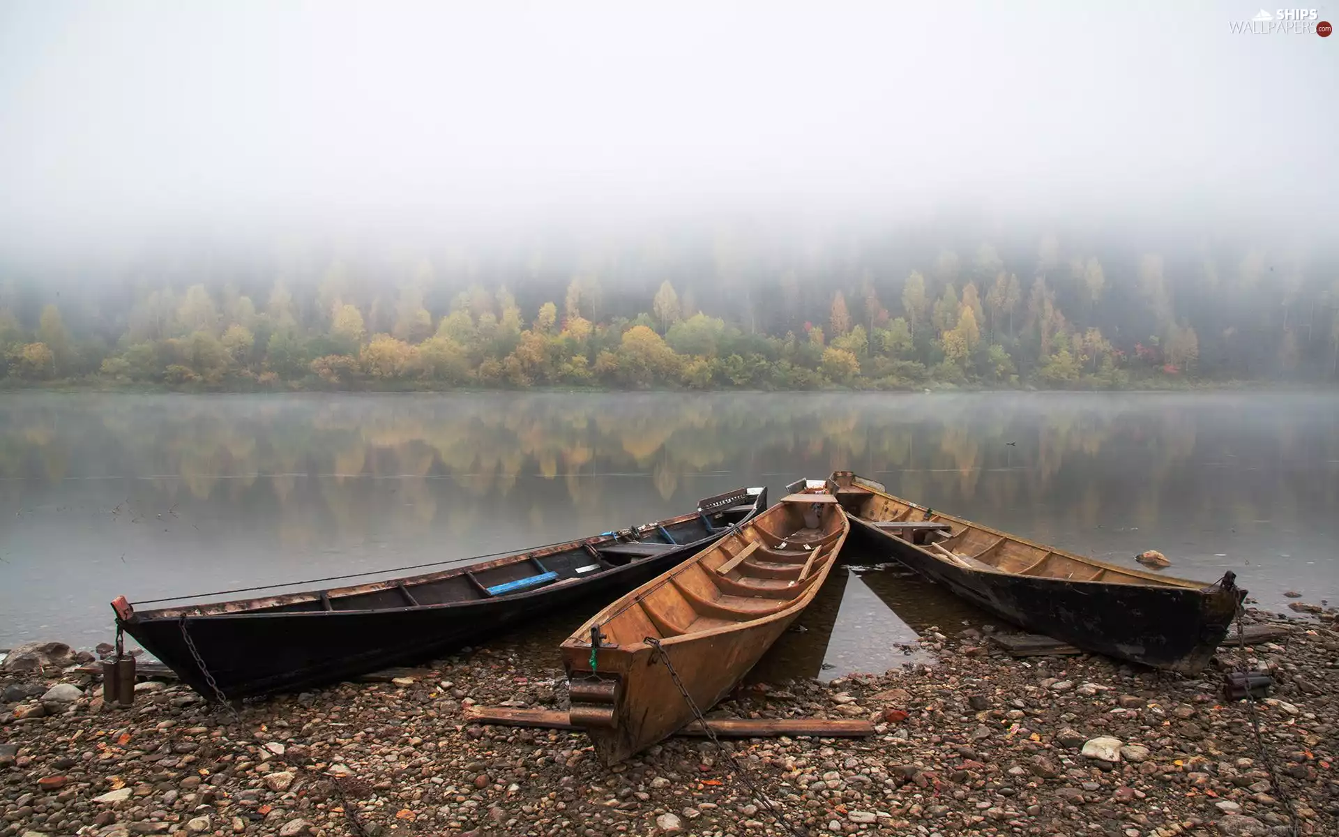 trees, lake, boats, coast, viewes, Fog