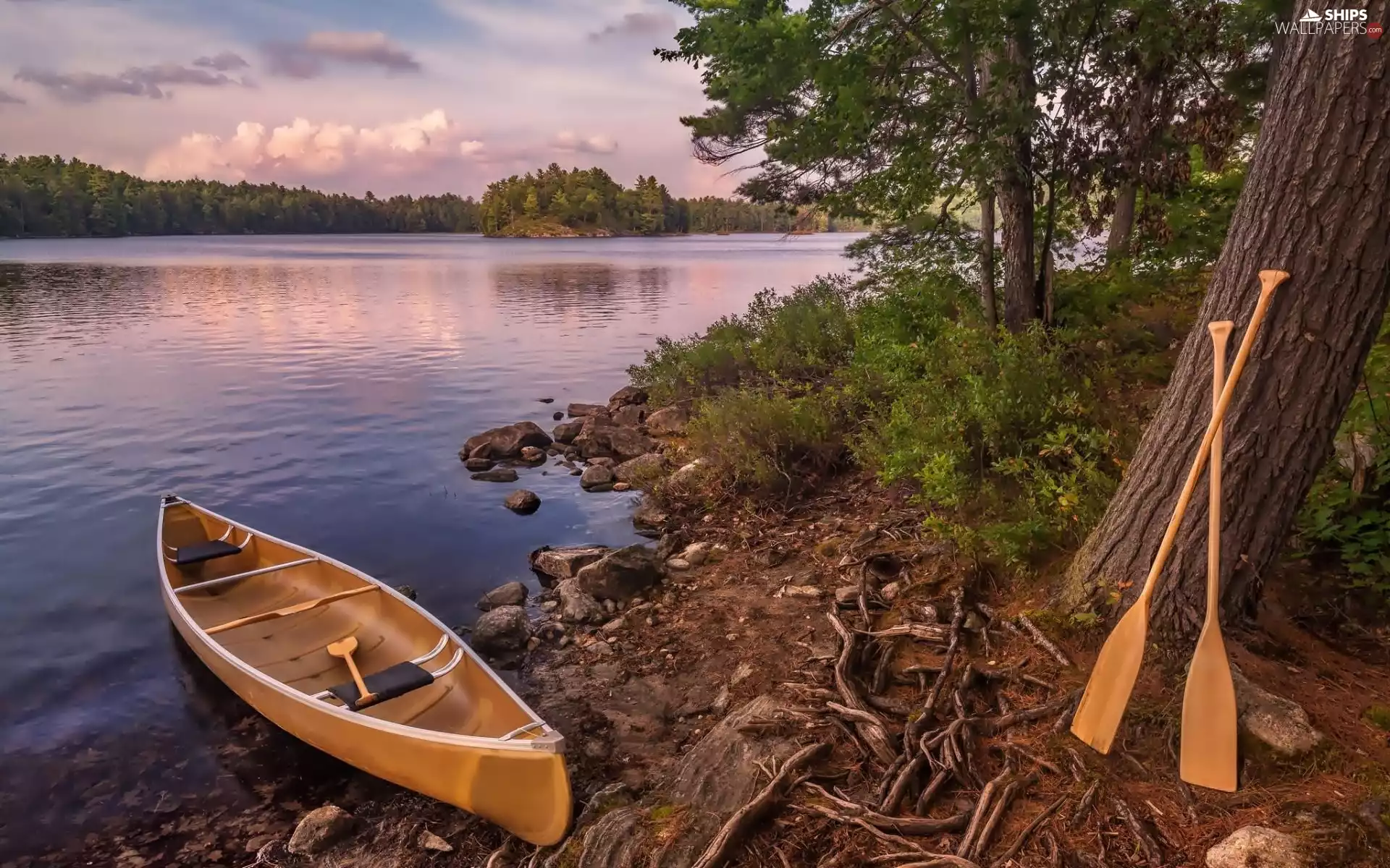 Kayak, River, woods, coast