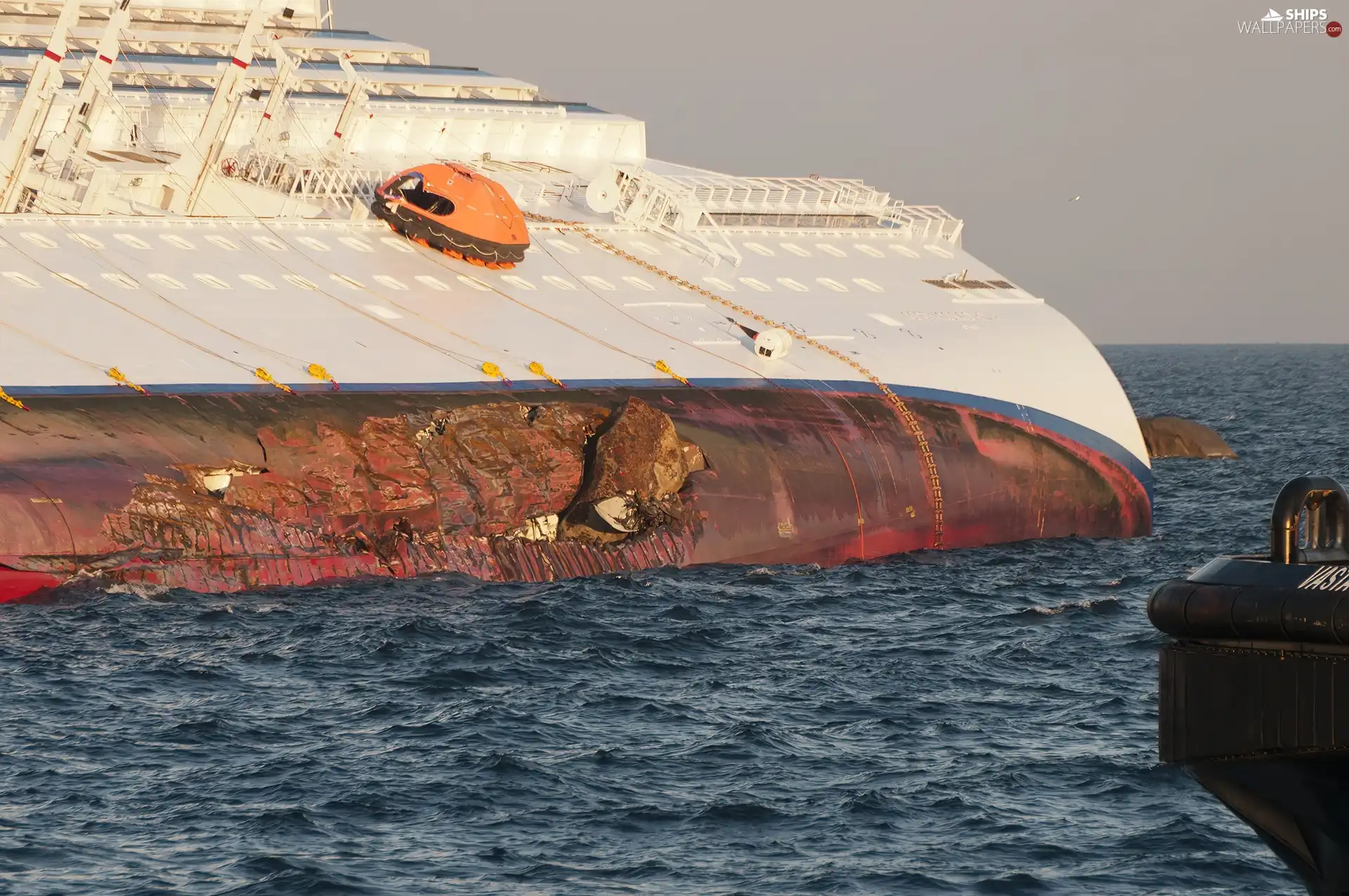 mutilated, Costa Concordia