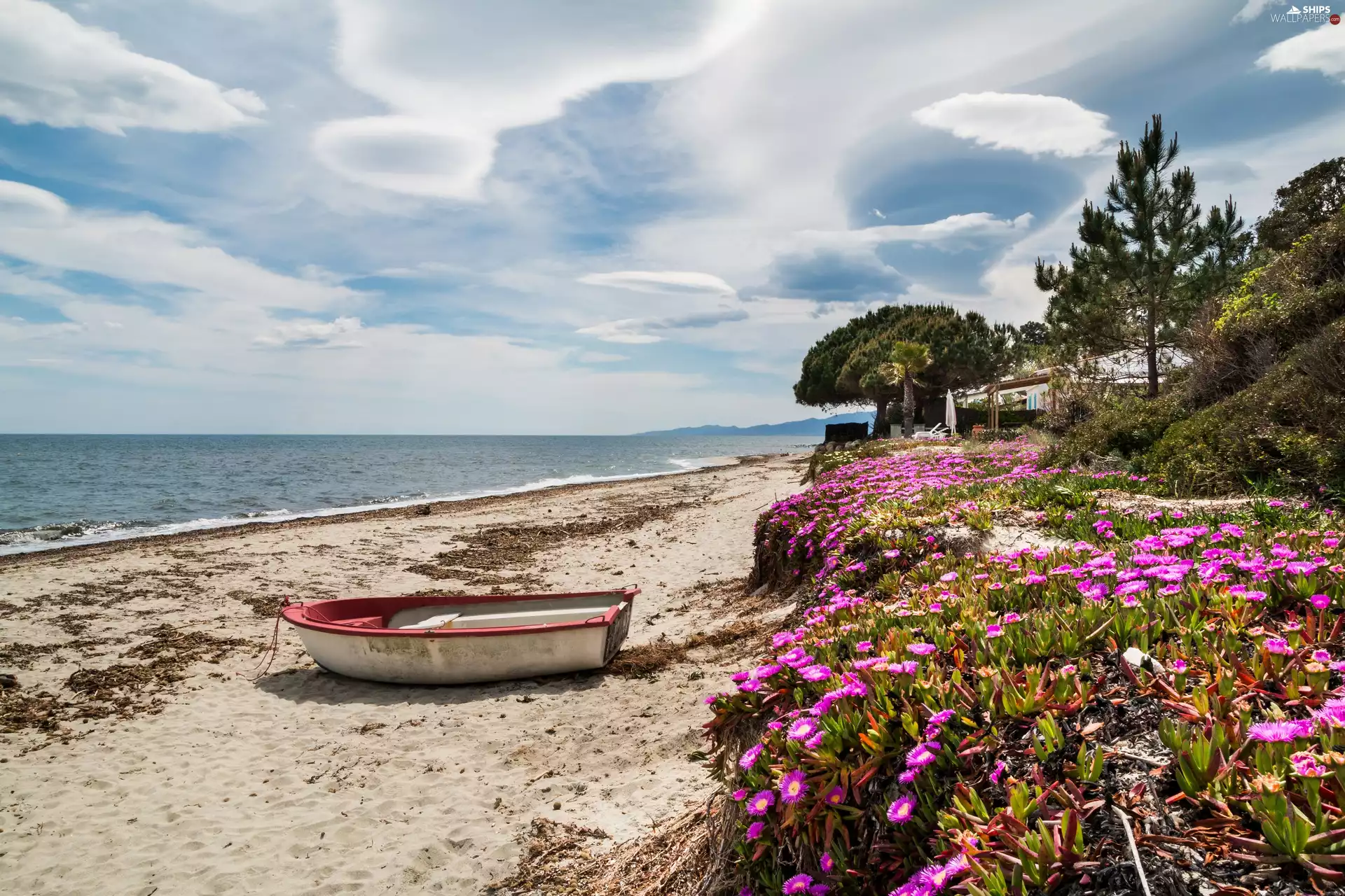 Corsica, France, sea, Beaches, trees, viewes, Flowers, Sky, Boat