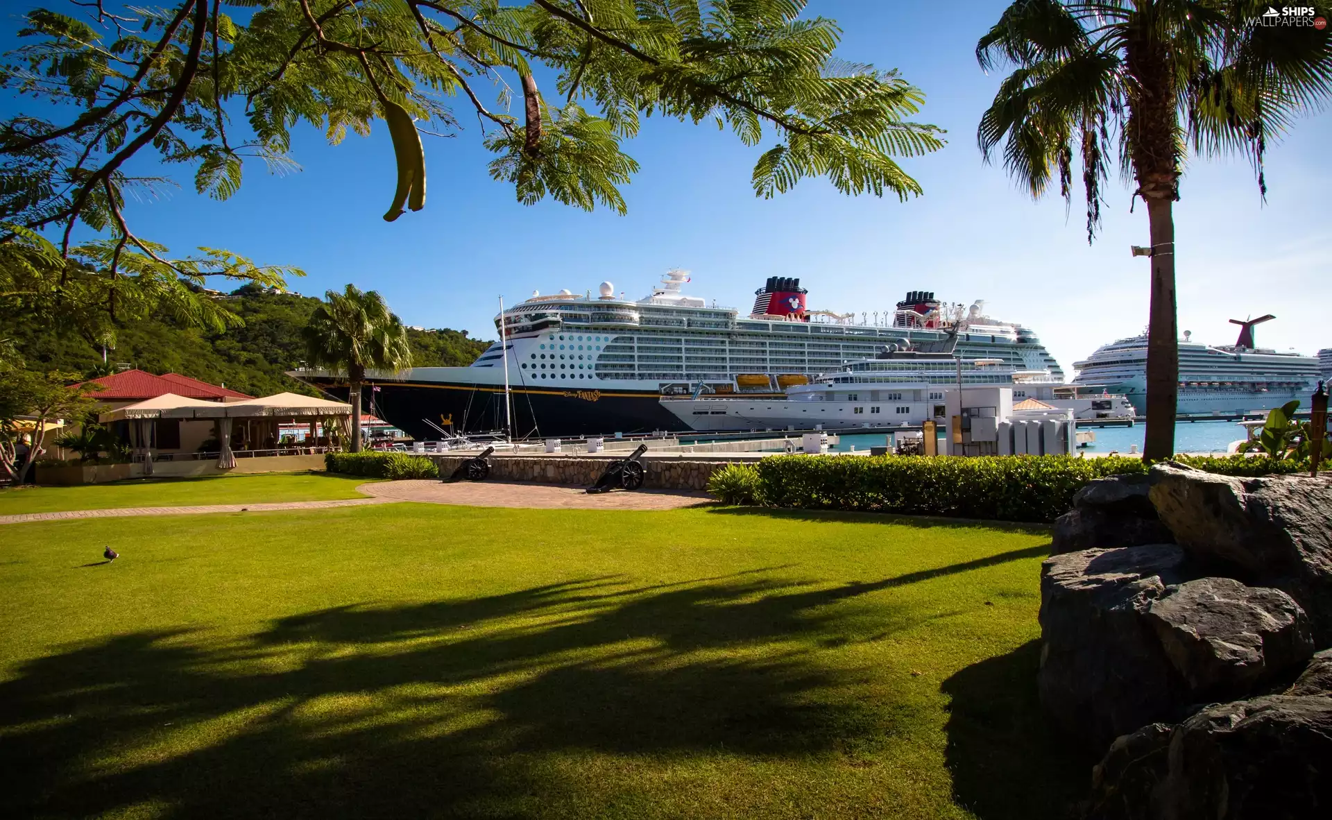 Passenger Ships, Disney Fantasy, Caribbean, Carnival Freedom