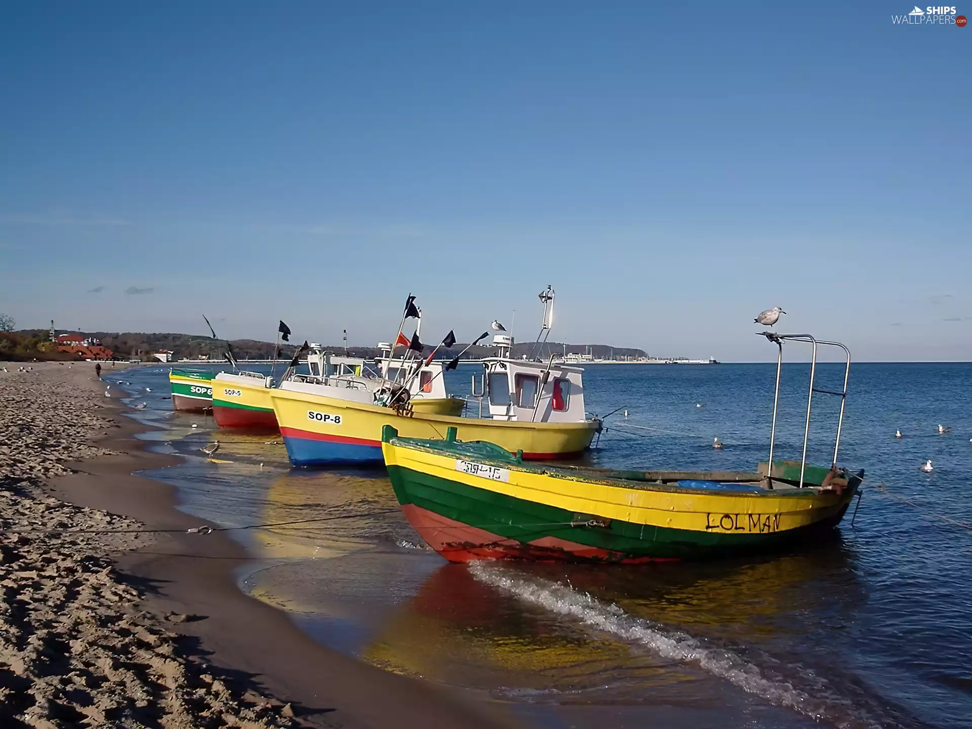 fishing, sea, Cutters